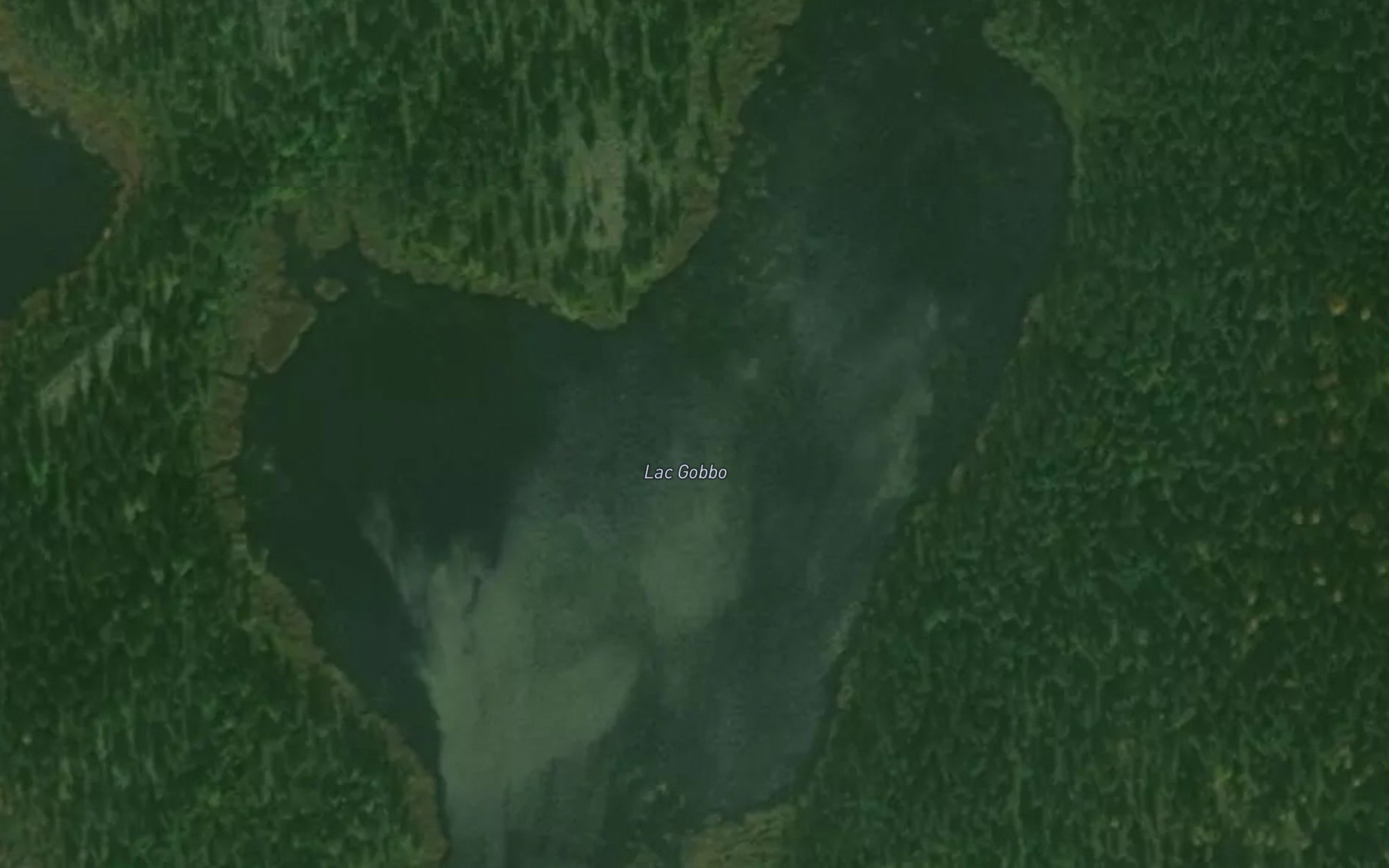 Satellite map of the Lac Gobbo