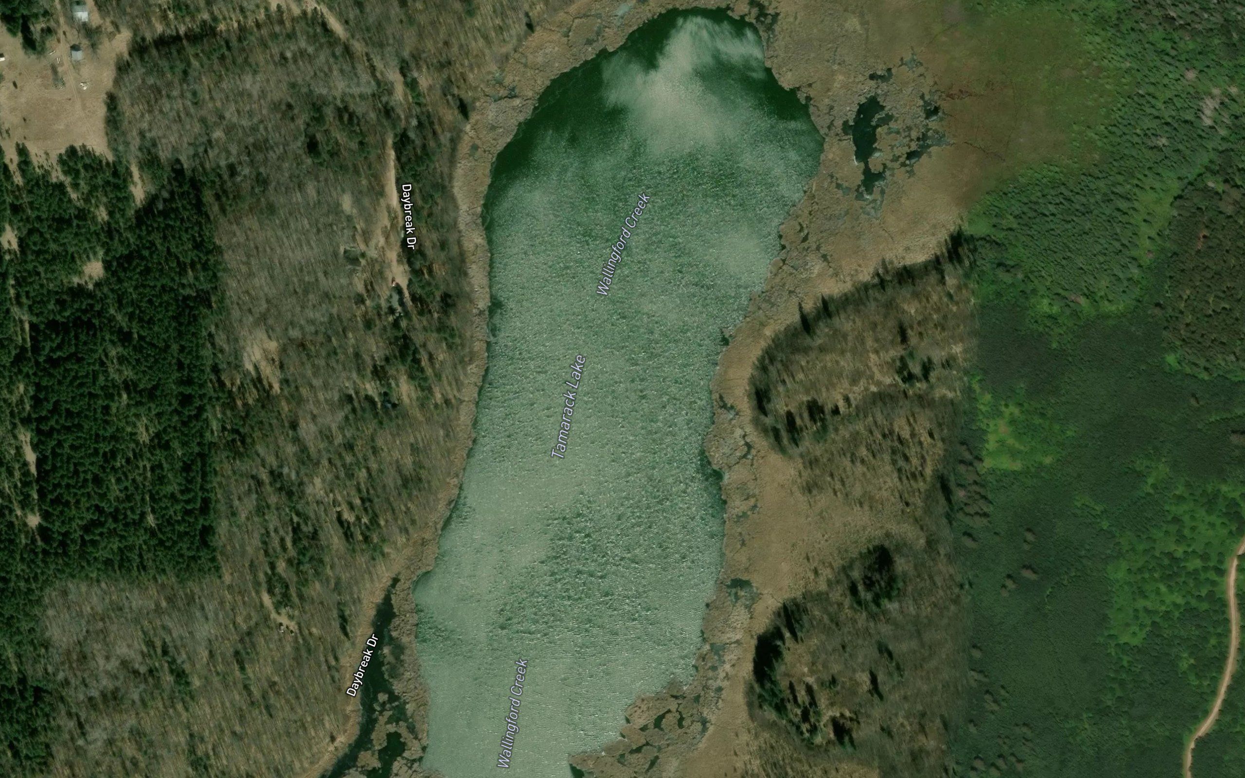 Tamarack Lake