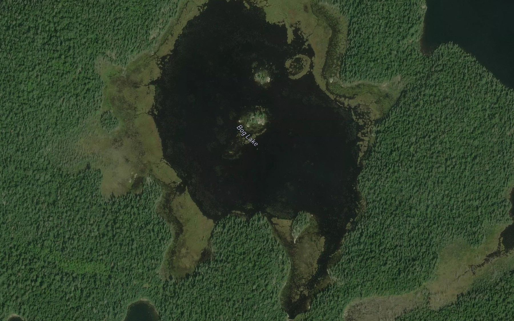 Satellite map of the Bog Lake