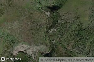 Dick Dale Creek