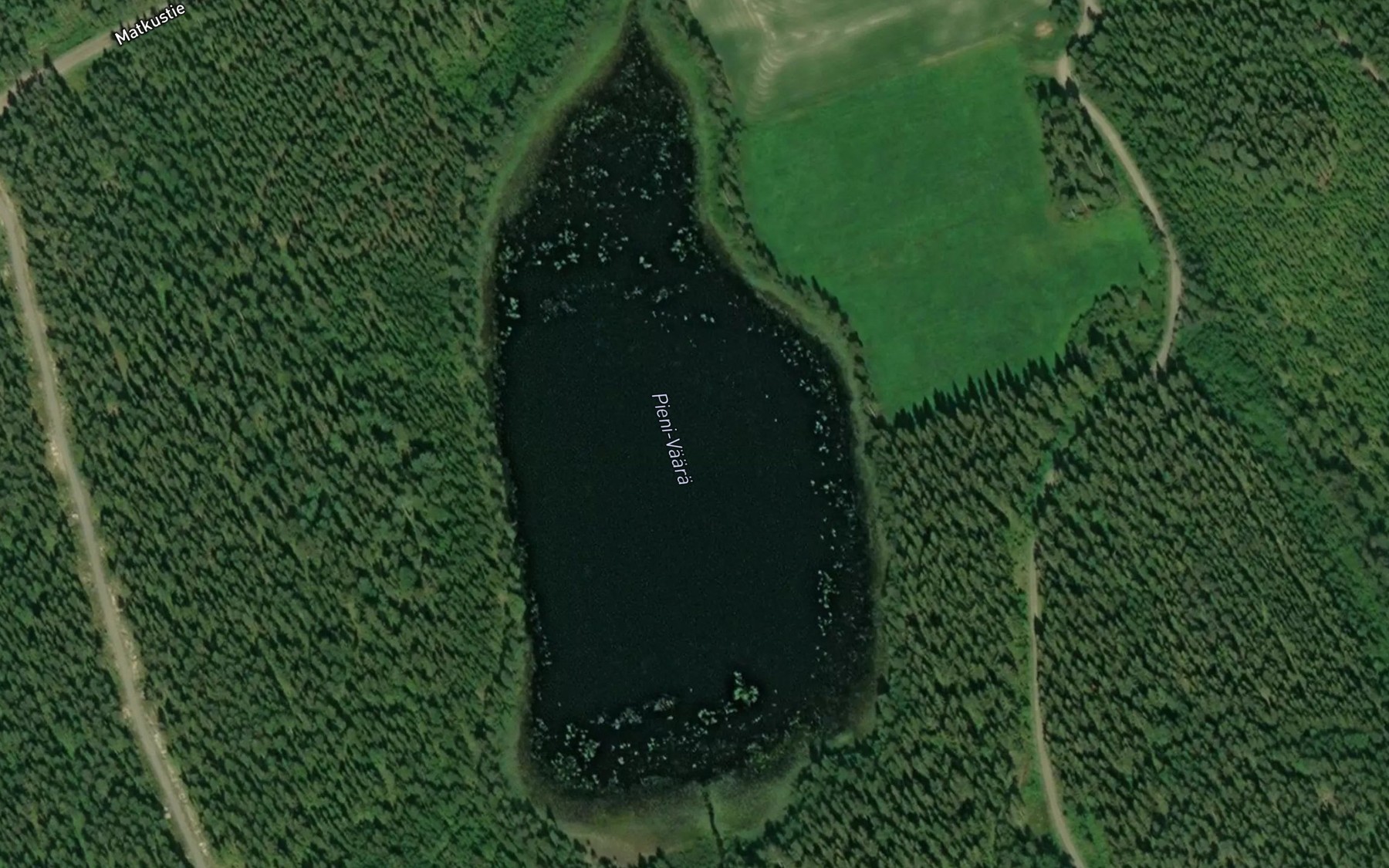 Satellite map of the Pieni-Vaara