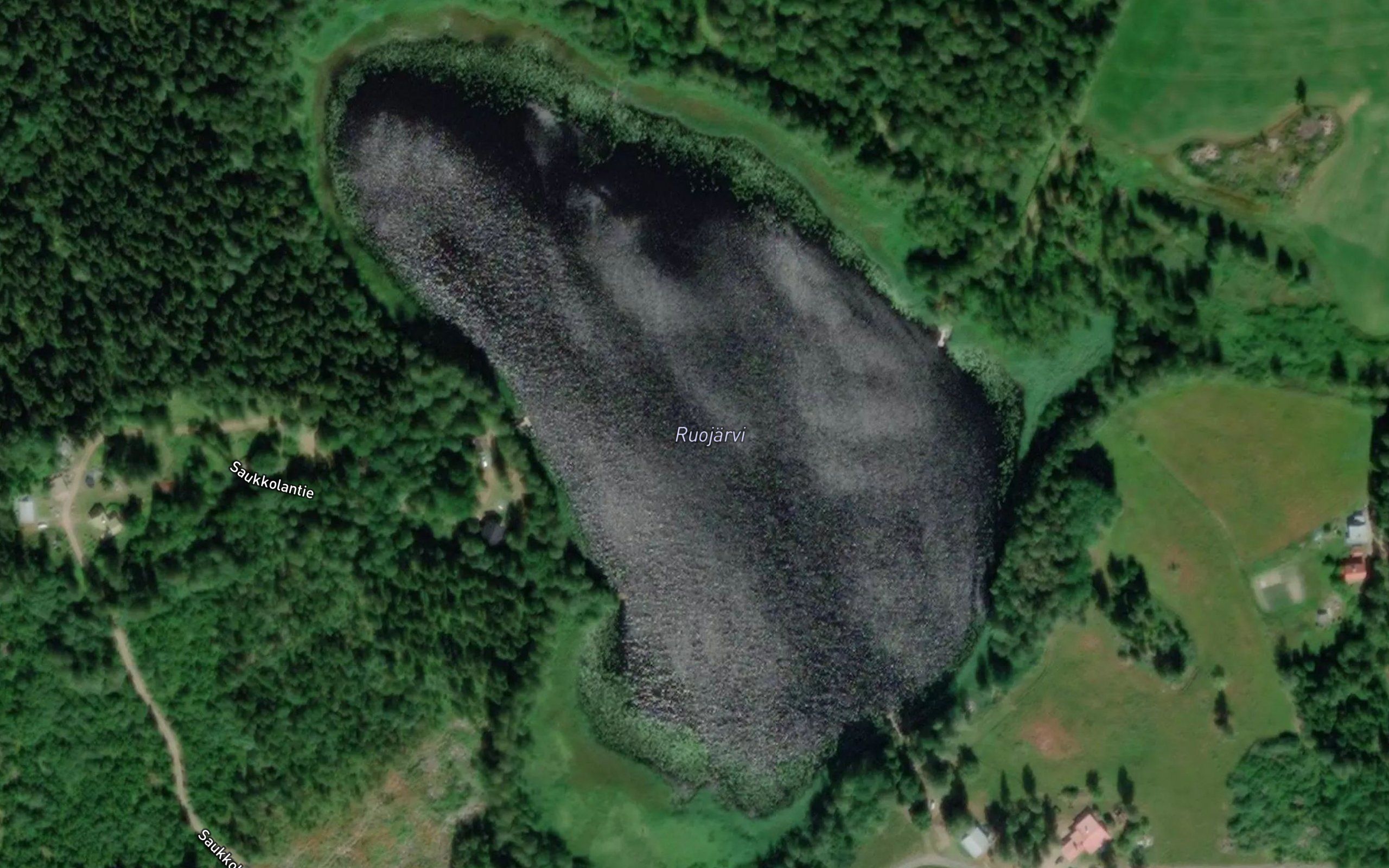 Ruojarvi