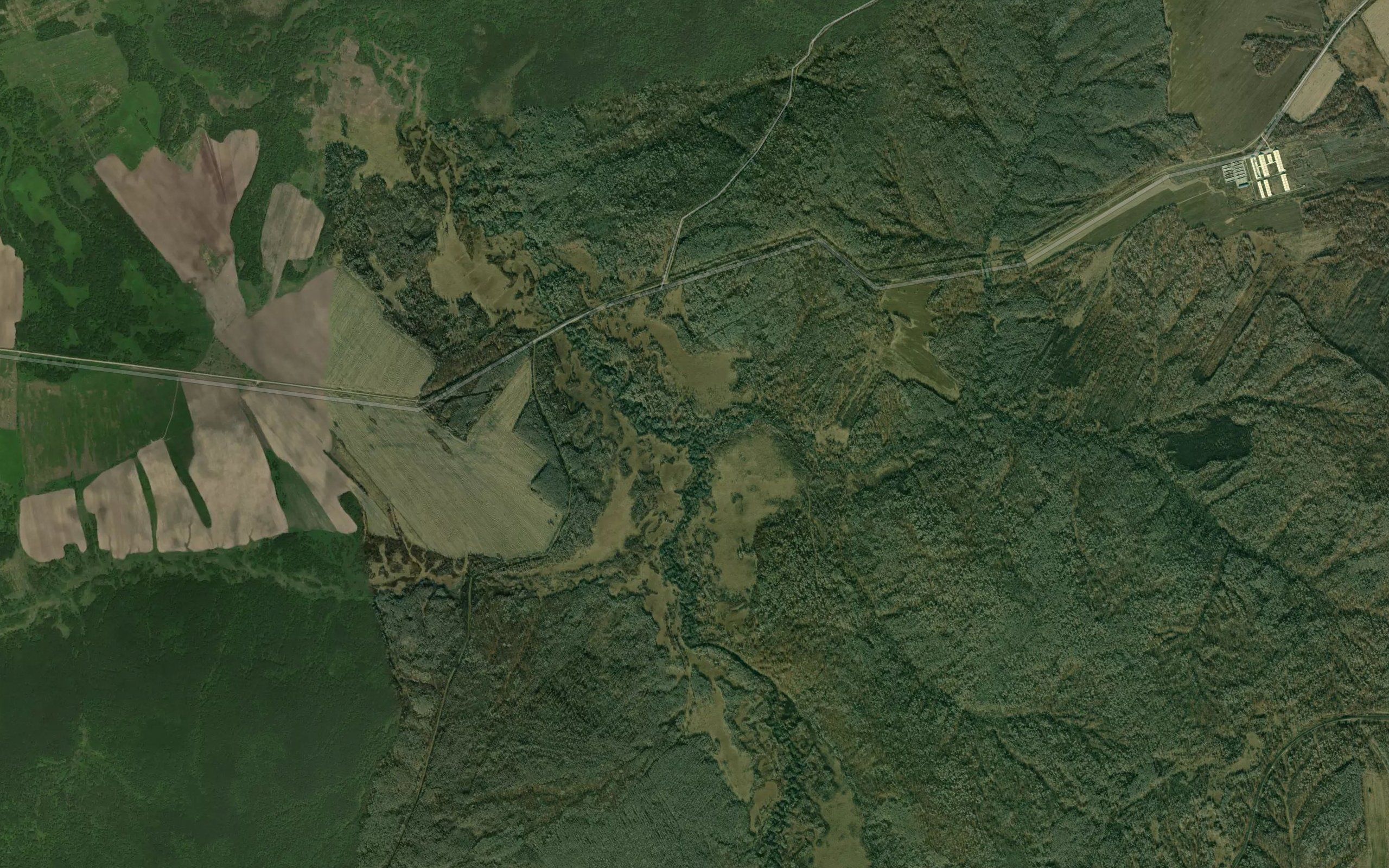 Shumnaya
