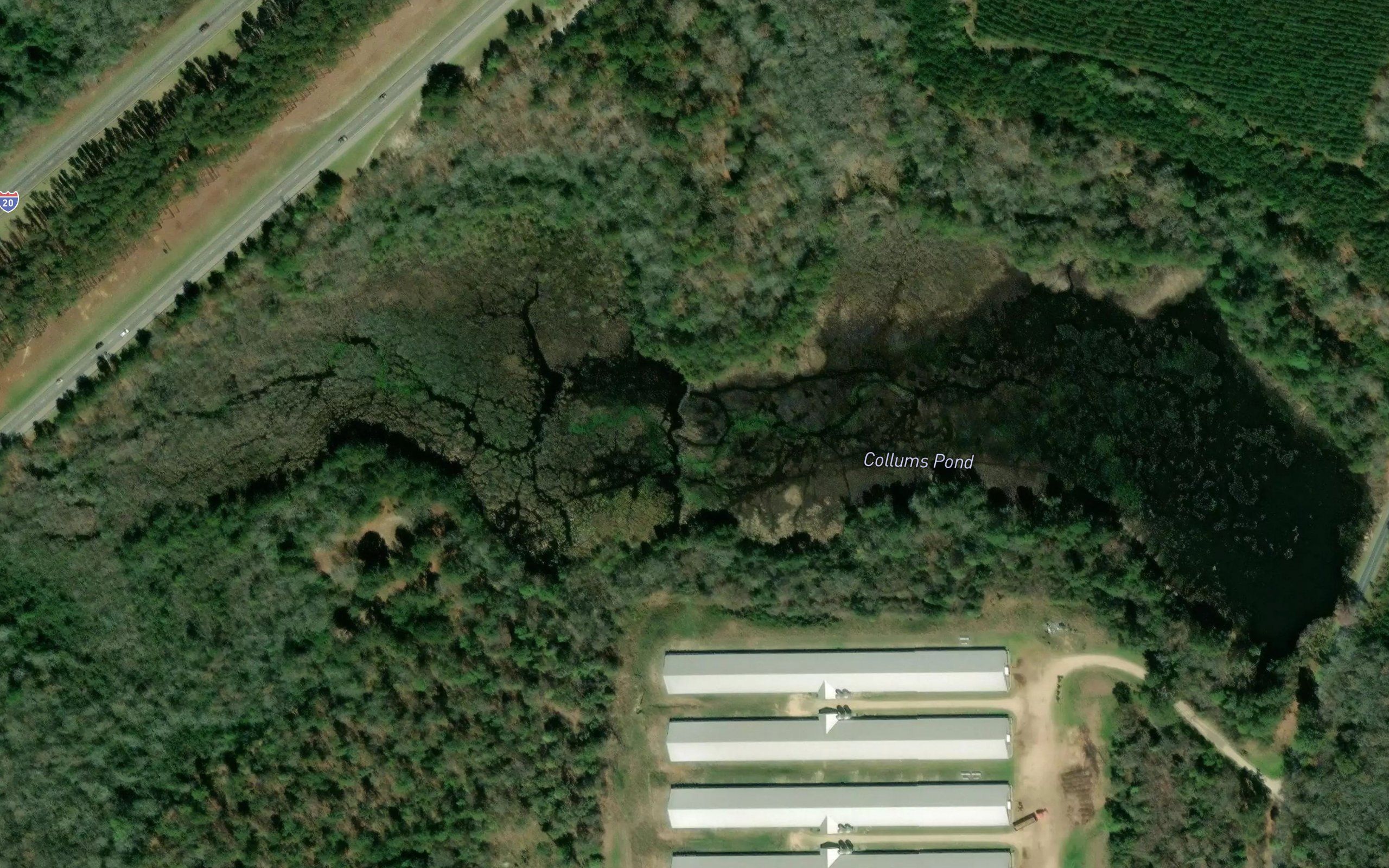 Collums Pond