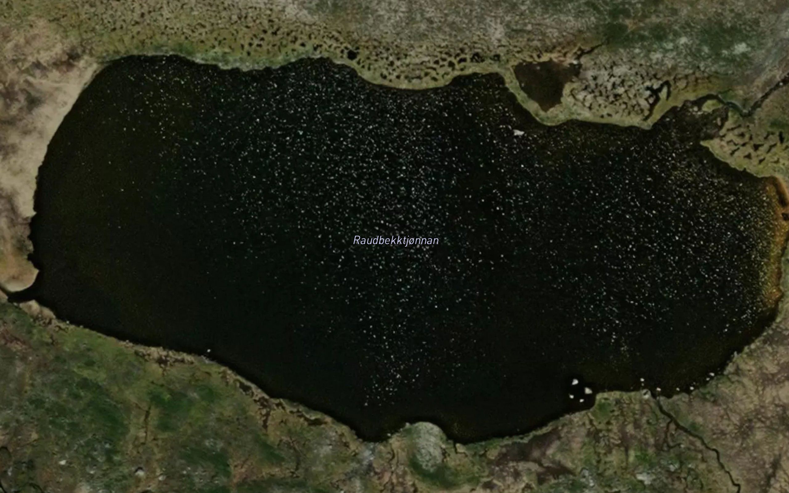 Raudbekktjonnan