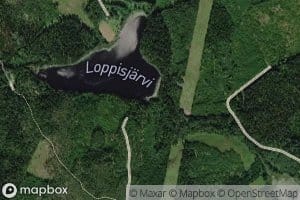 Loppisoja