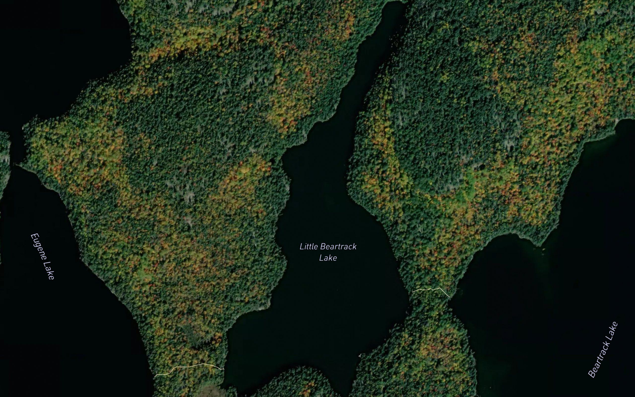 Little Beartrack Lake