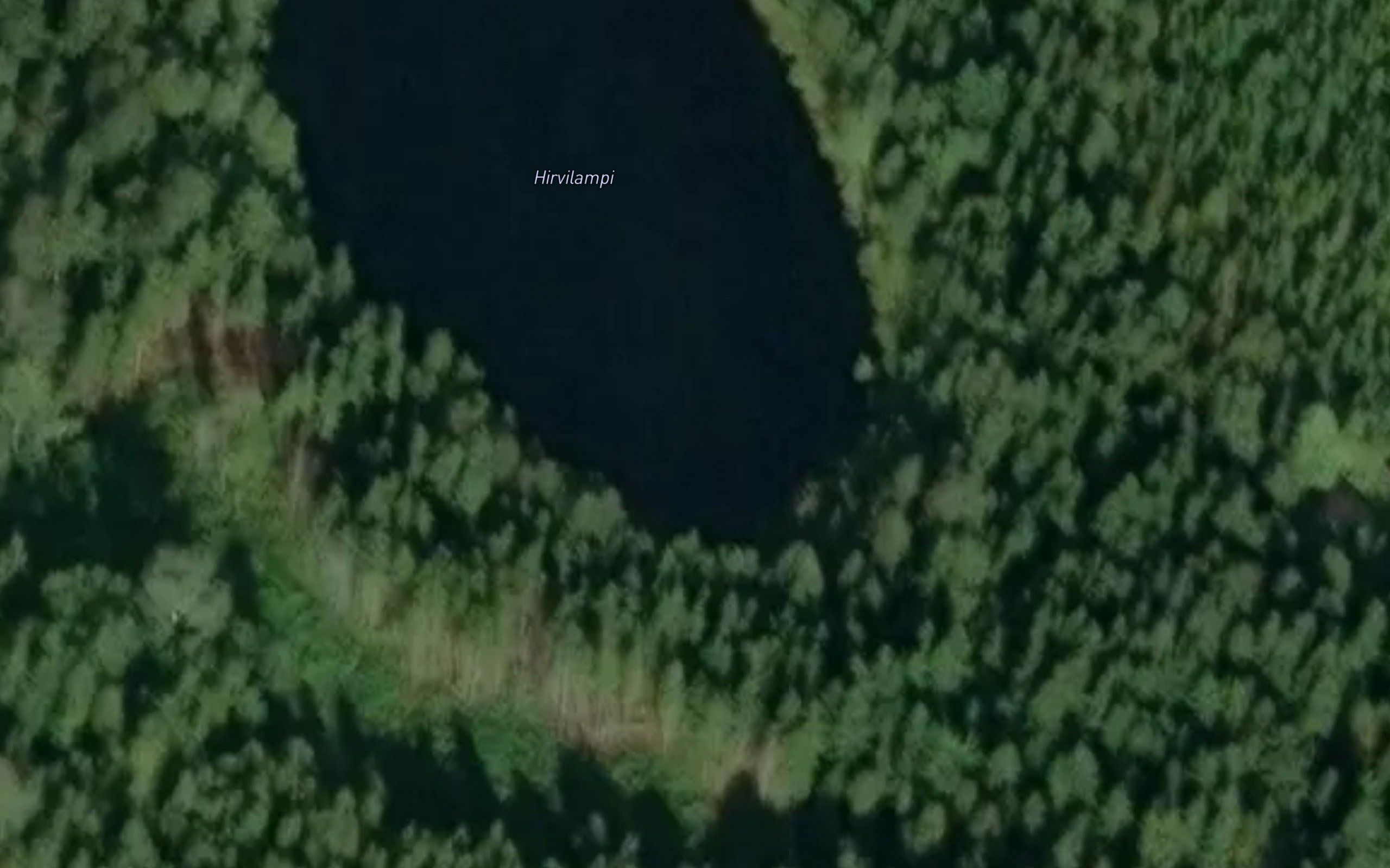 Hirvilampi
