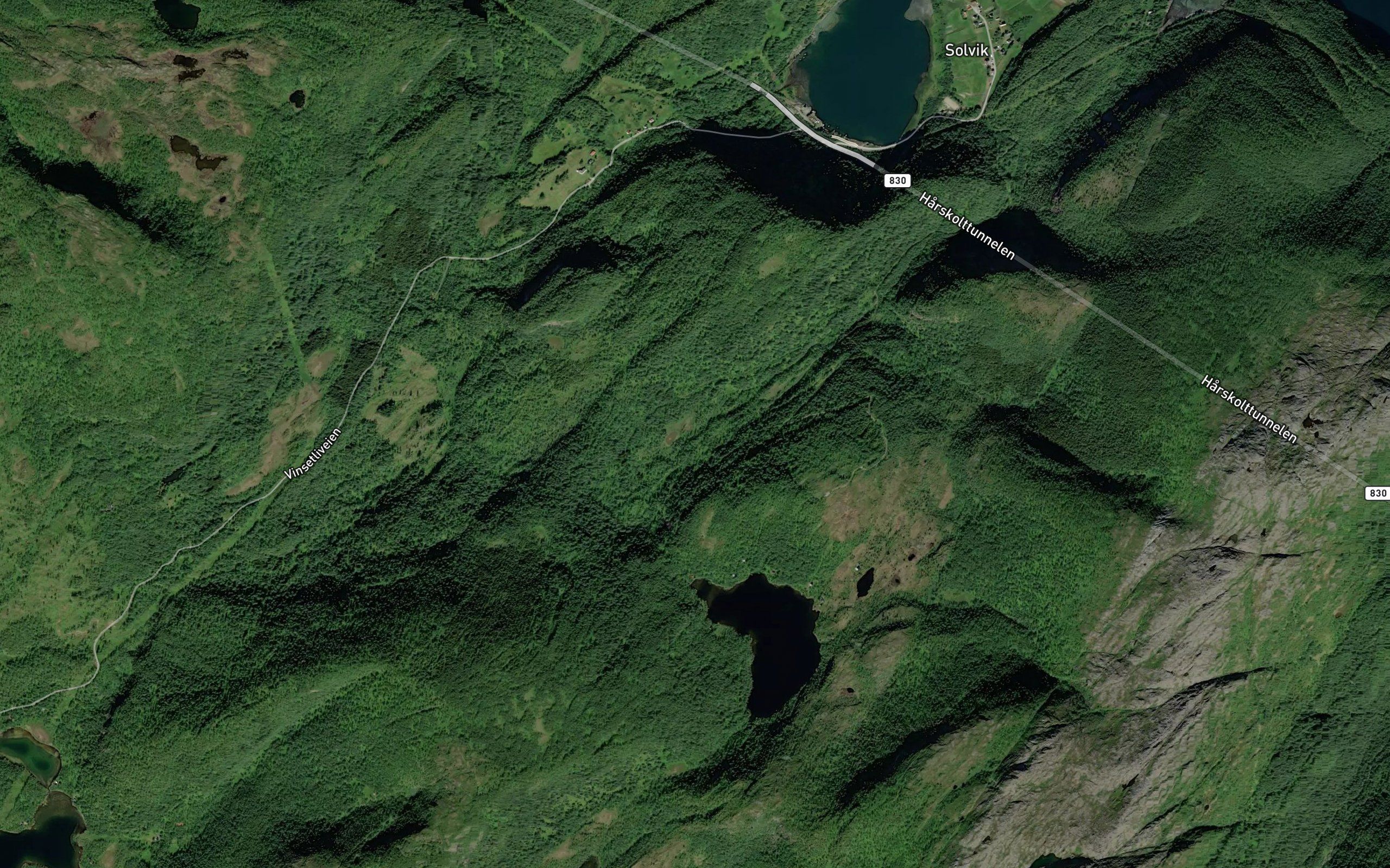 Svartvasselva