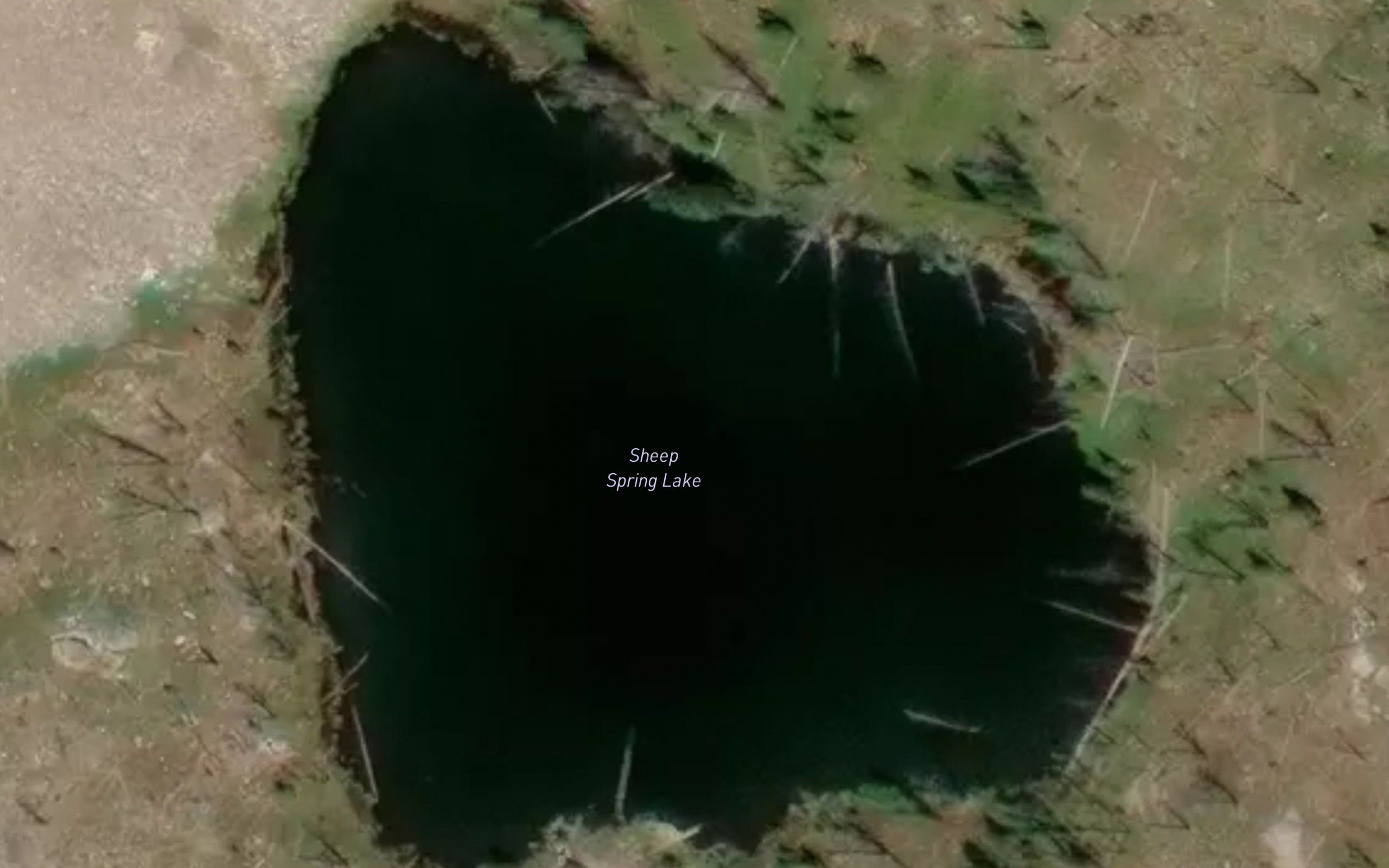 Sheep Spring Lake