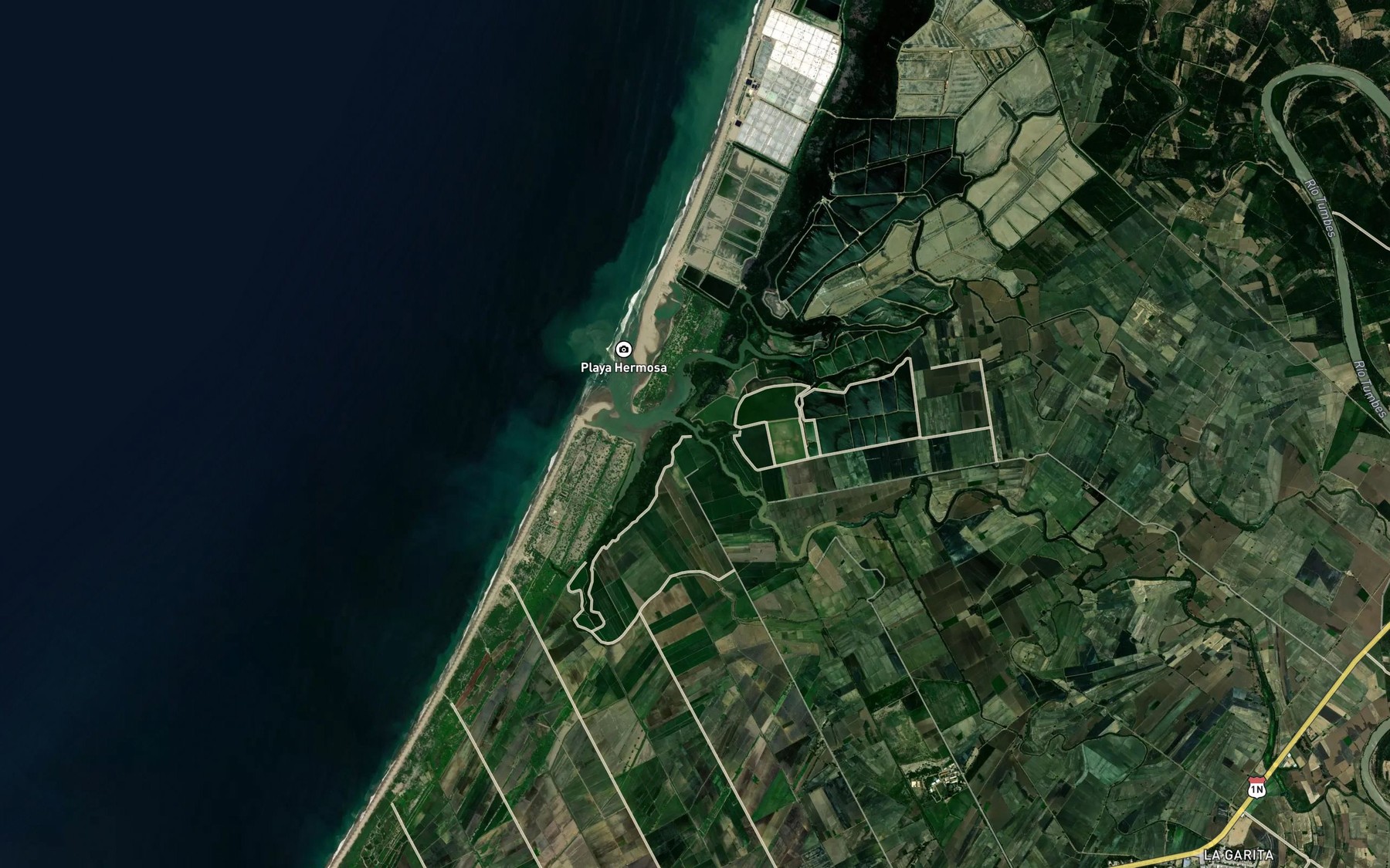 Satellite map of the Estero Palo Santo