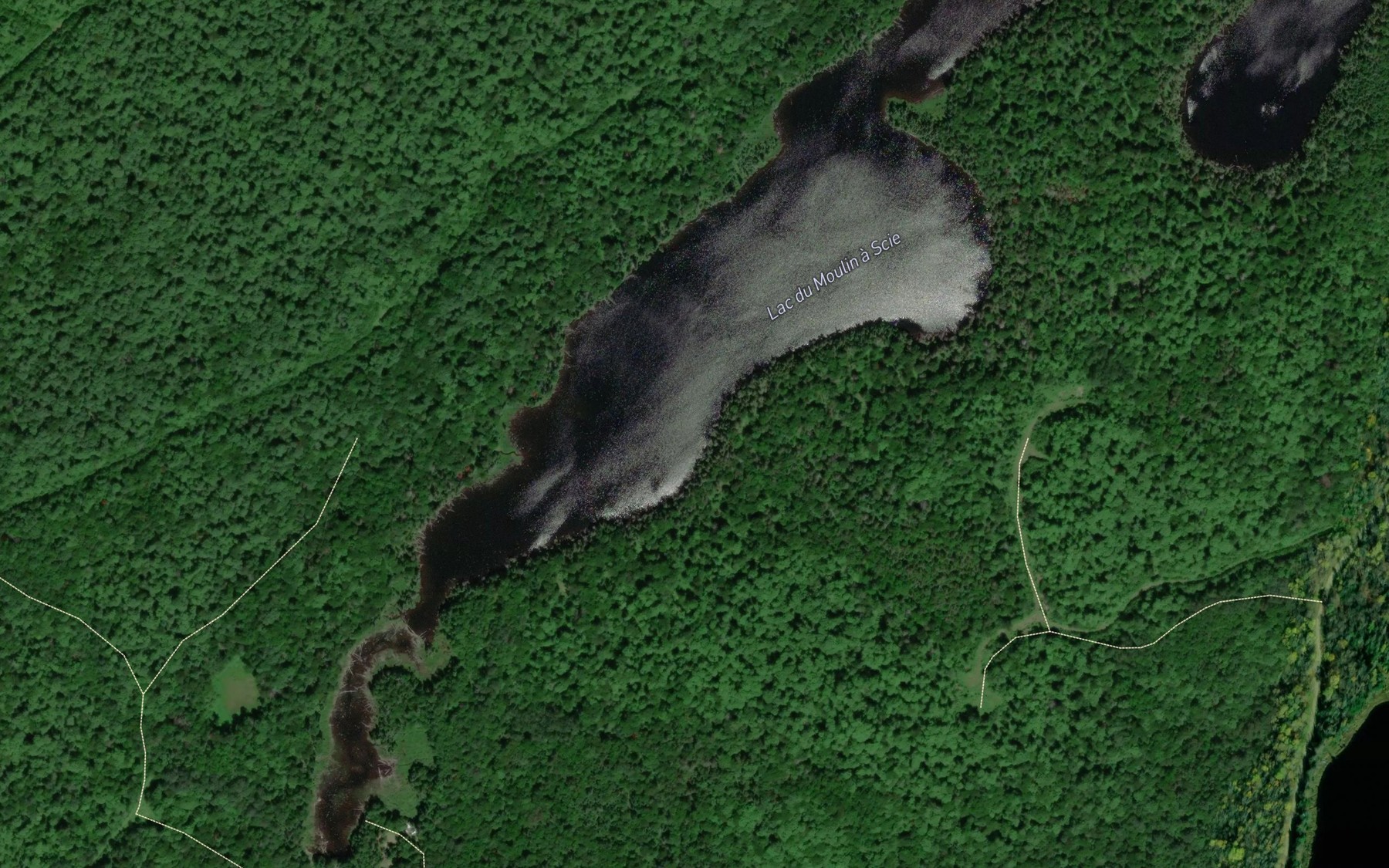 Satellite map of the Lac du Moulin a Scie