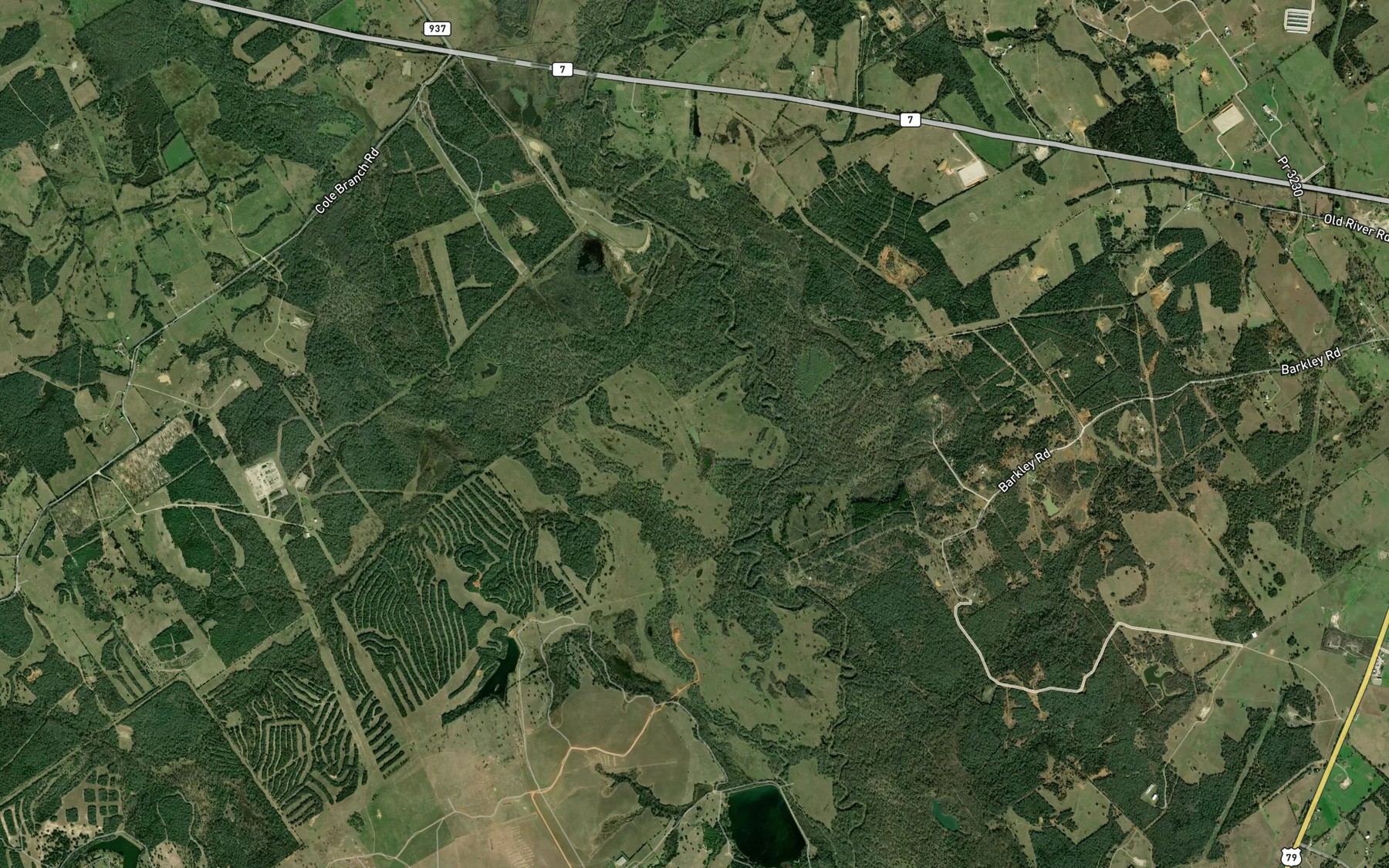 Satellite map of the Bear Rough Lake