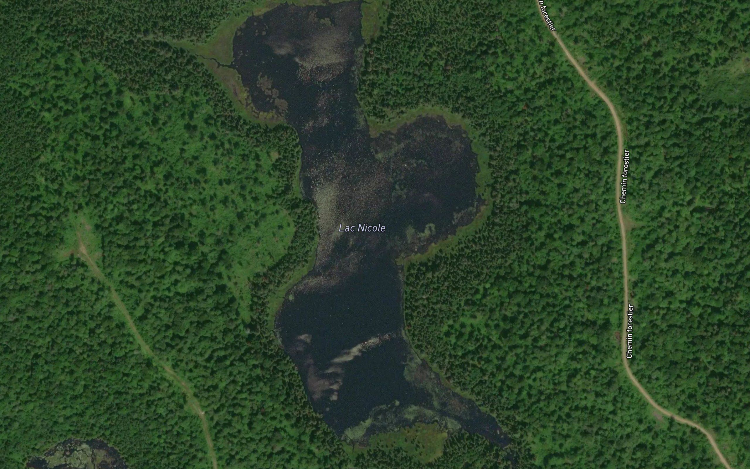 Lac Nicole