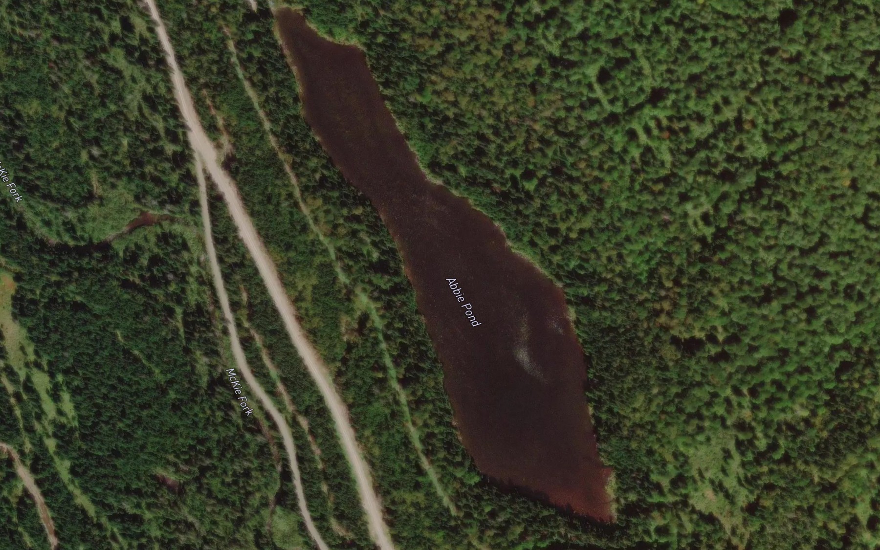Satellite map of the Abbie Pond