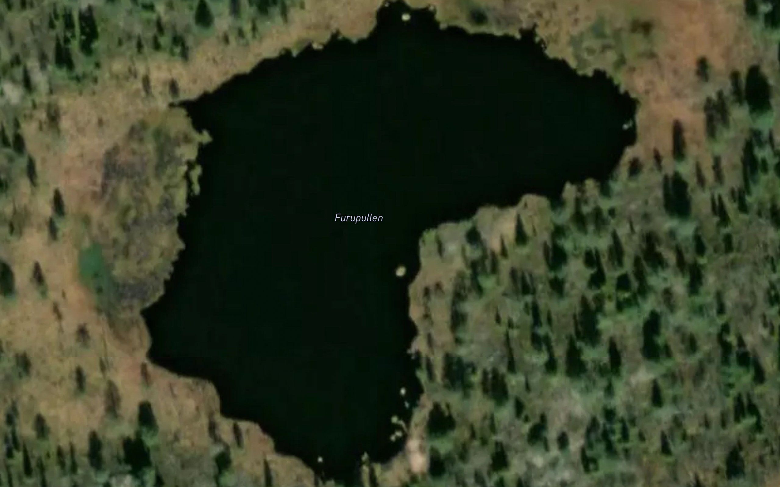 Furupullen