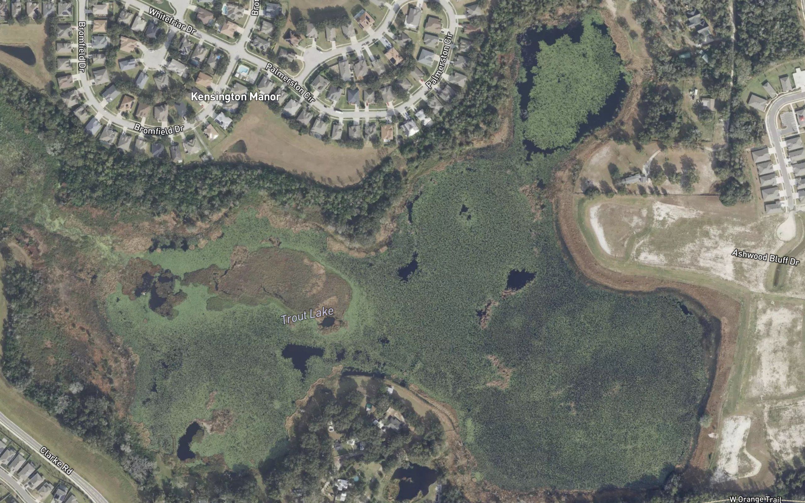 Trout Lake