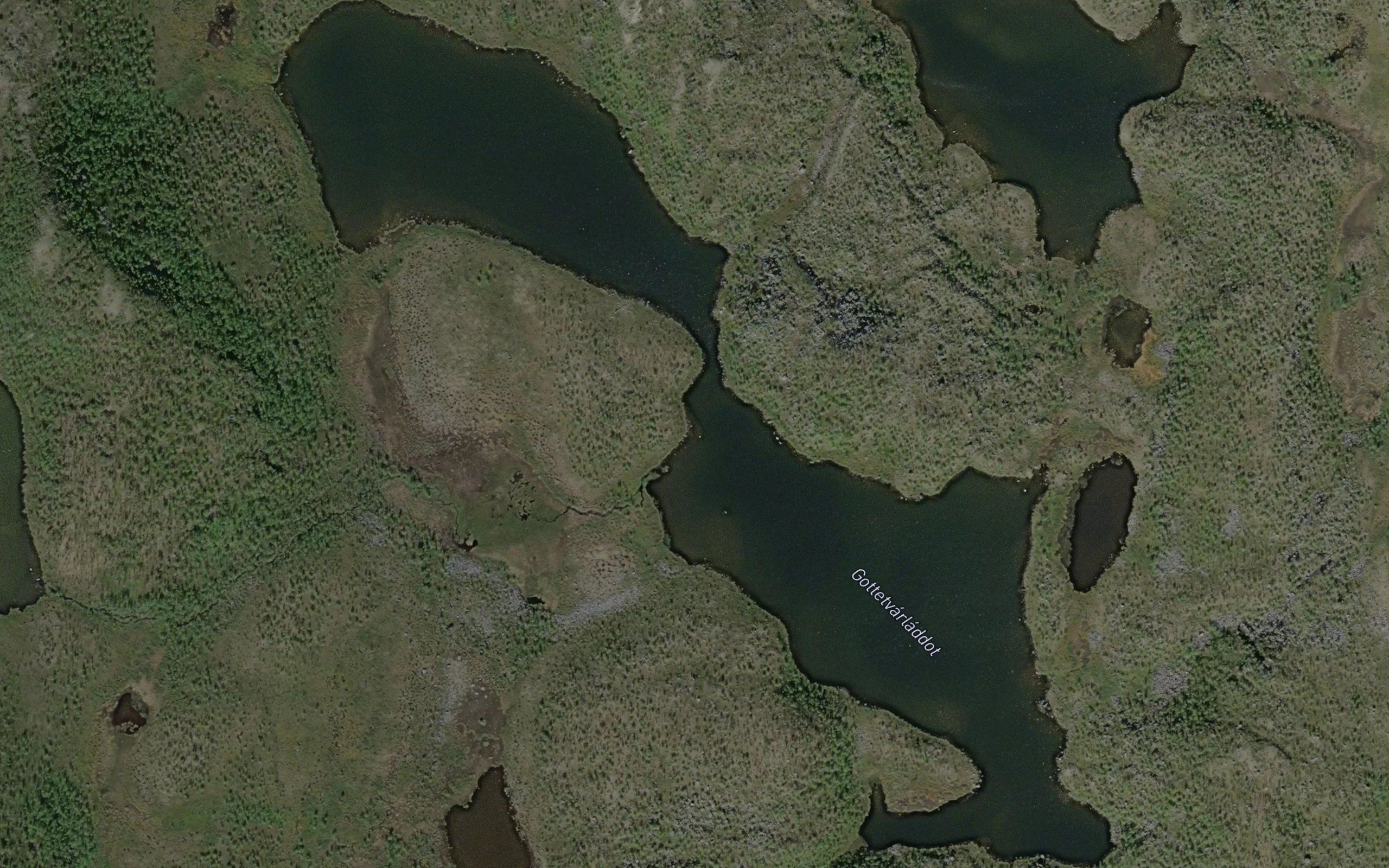 Gaddetvarladdut