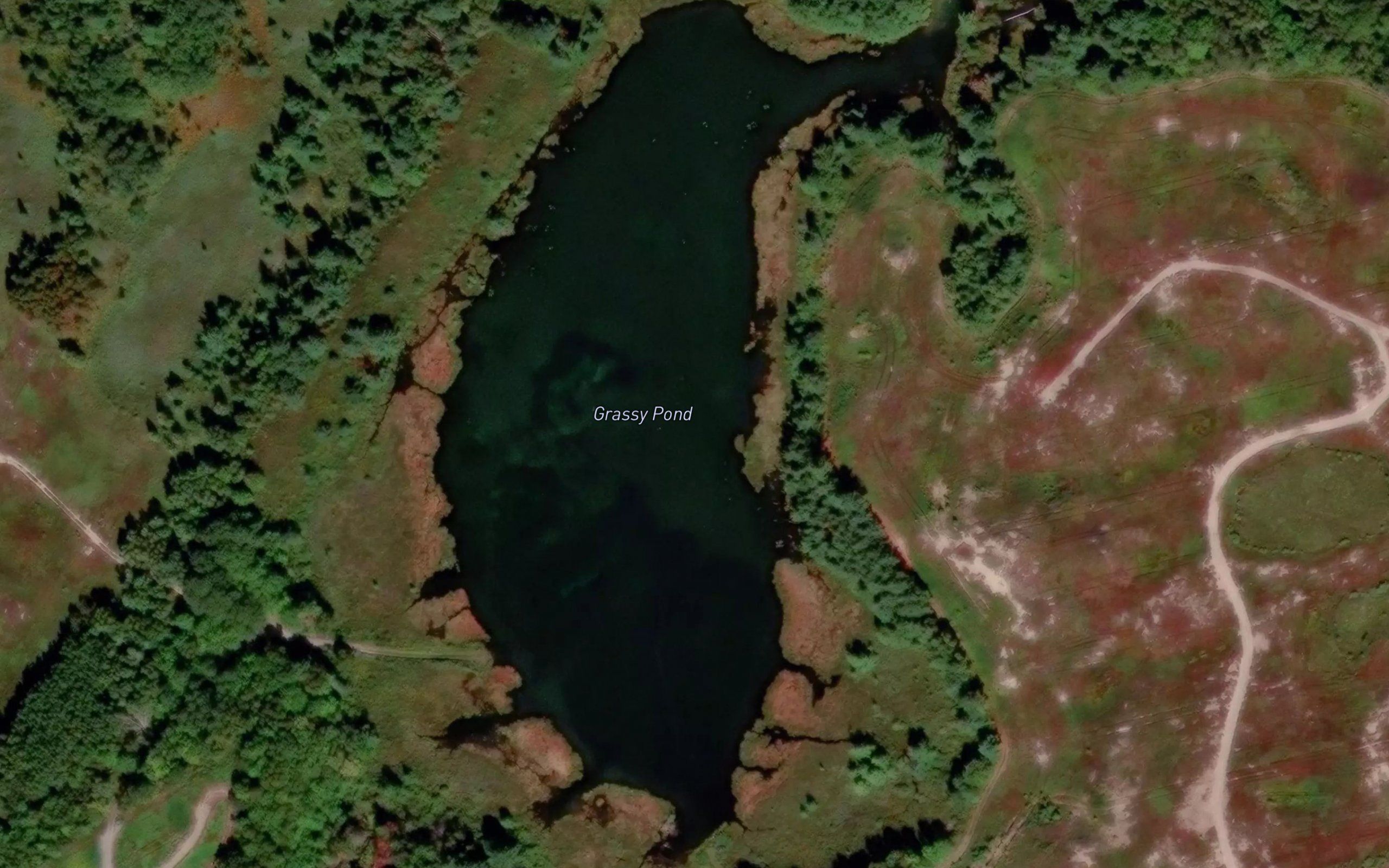 Grassy Pond
