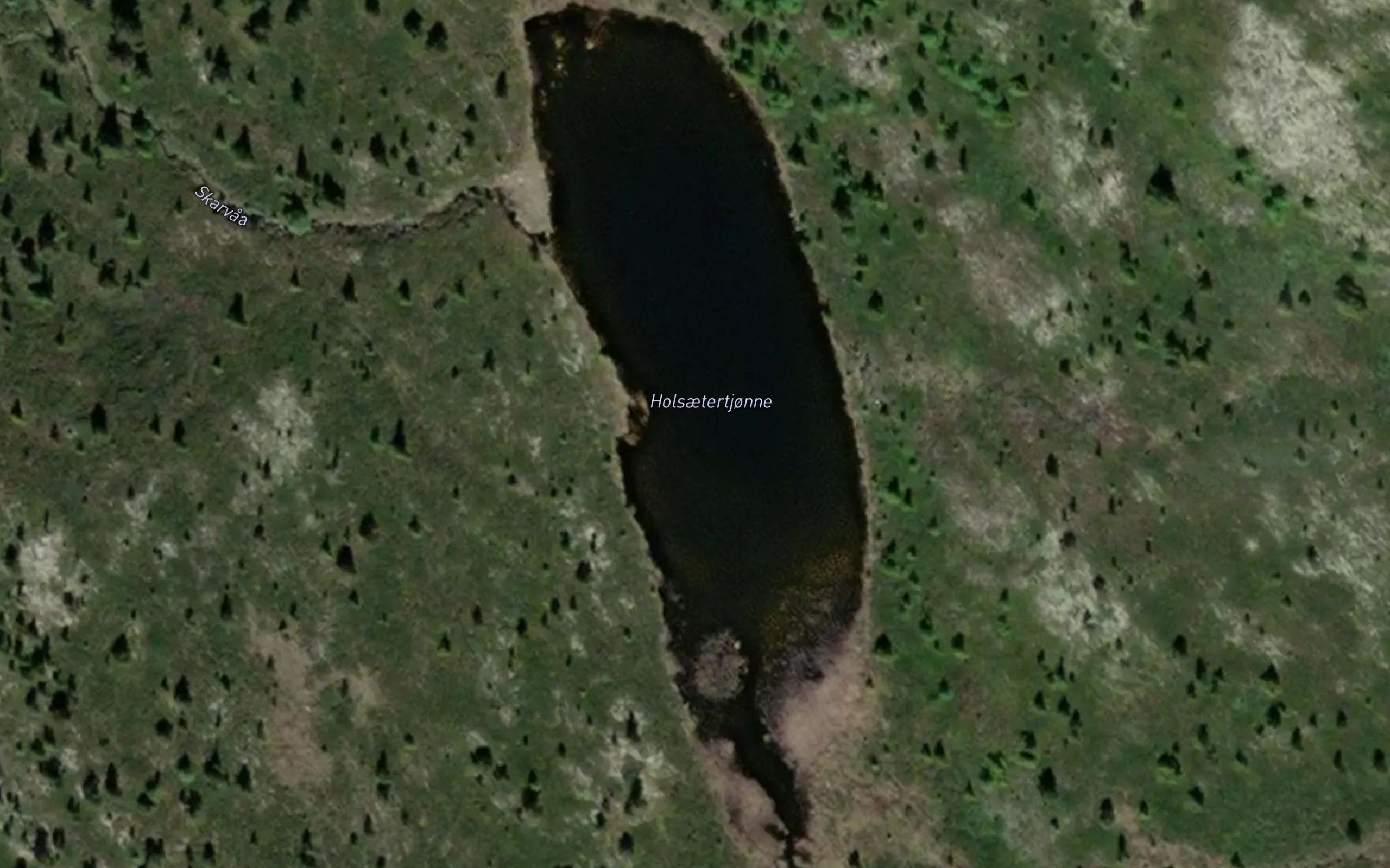 Holsaetertjorn