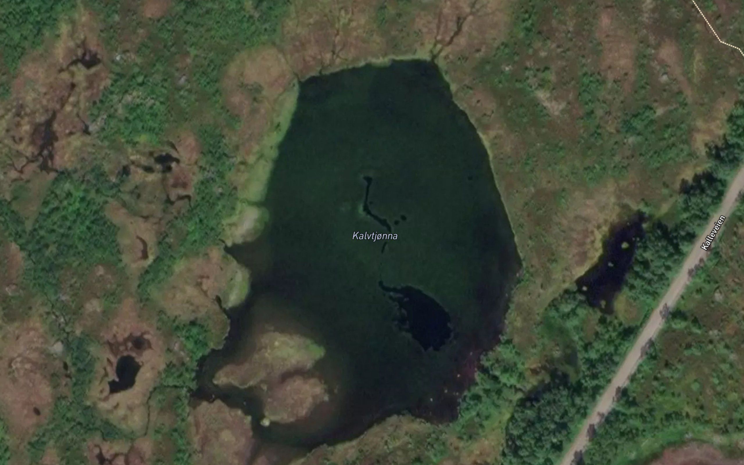 Kalvtjorna