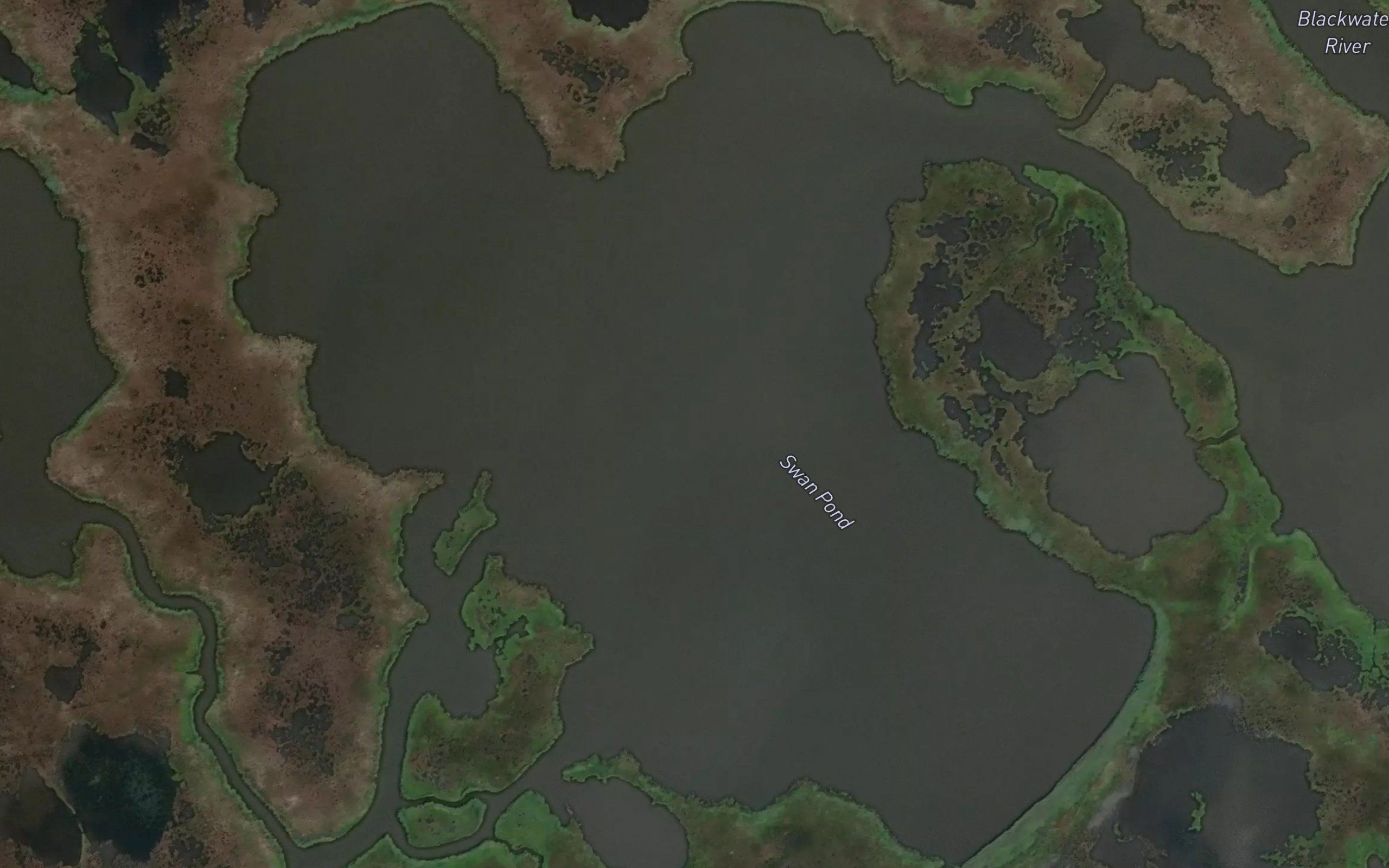 Swan Pond
