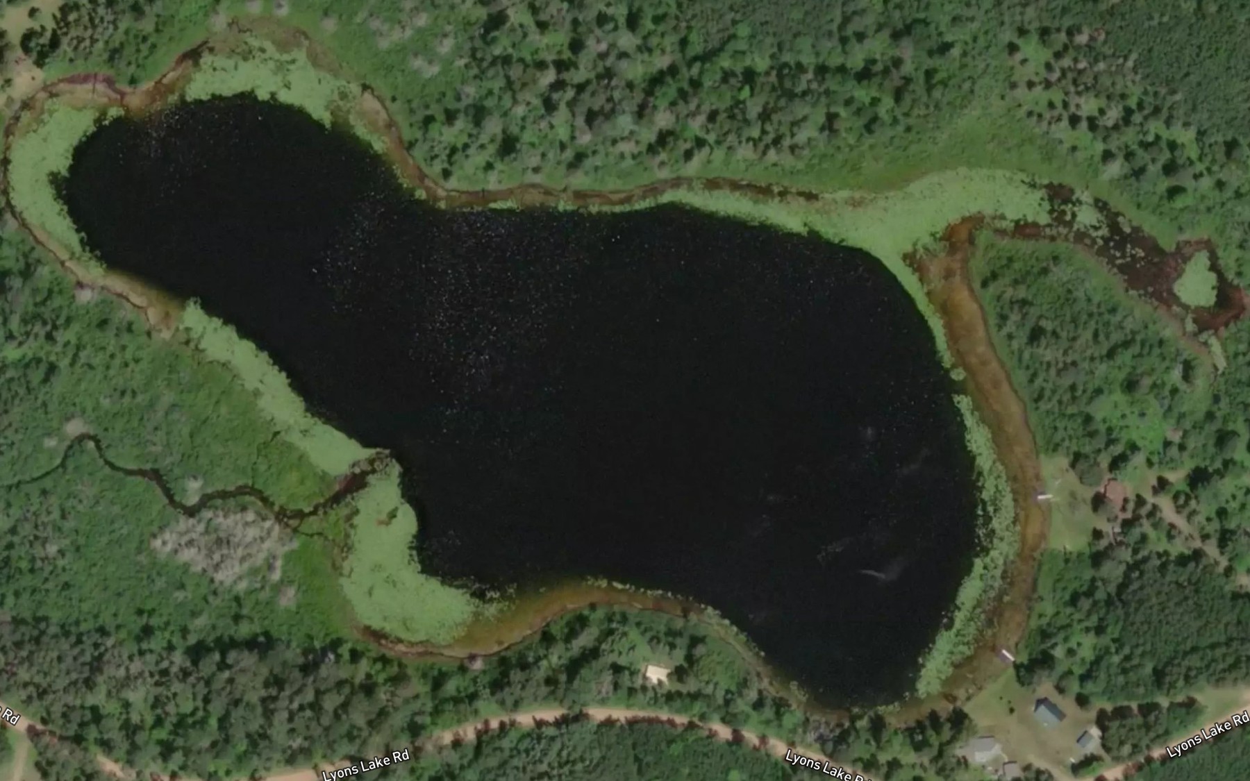 Satellite map of the Lyons Lake