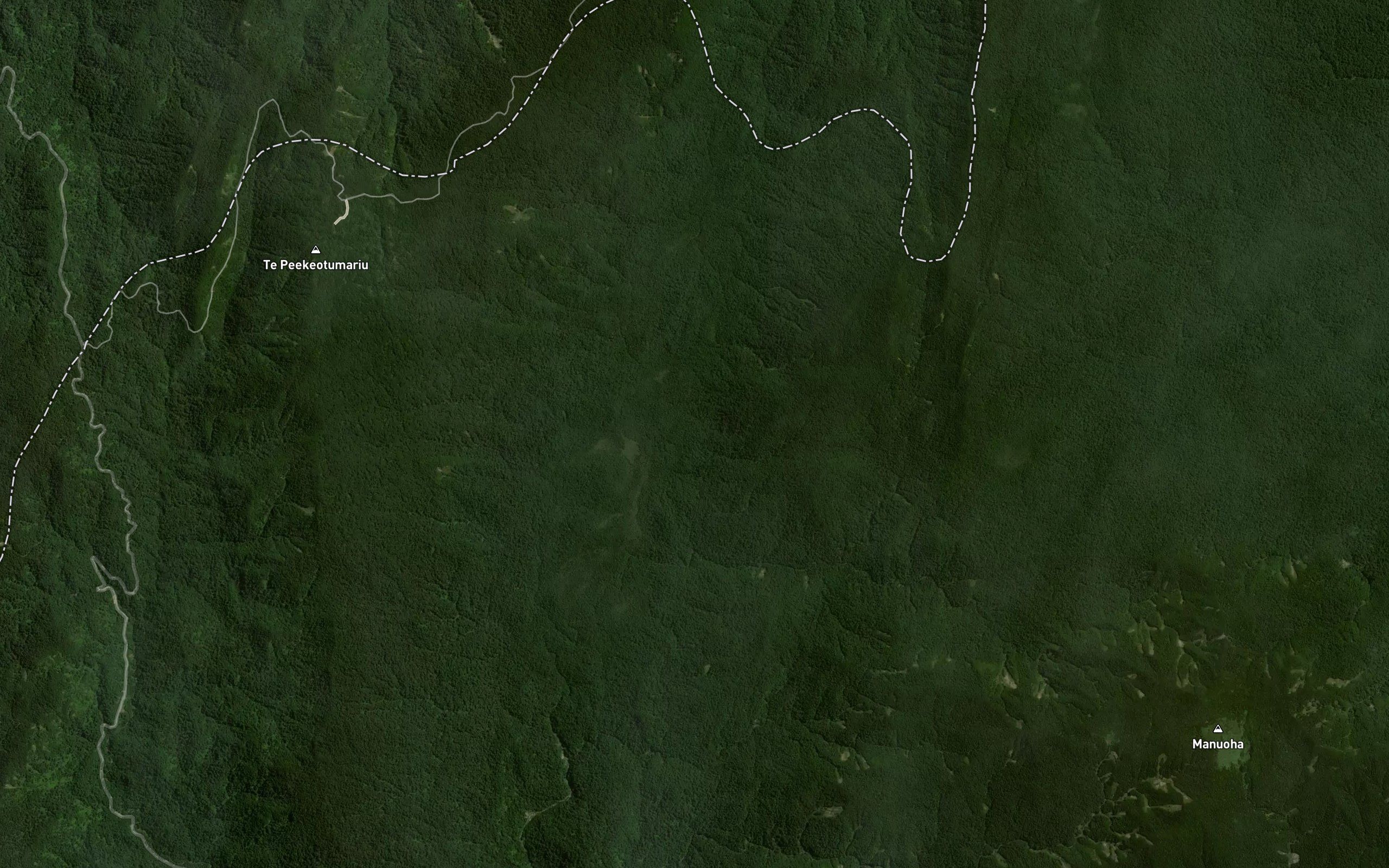Ongaonga Stream
