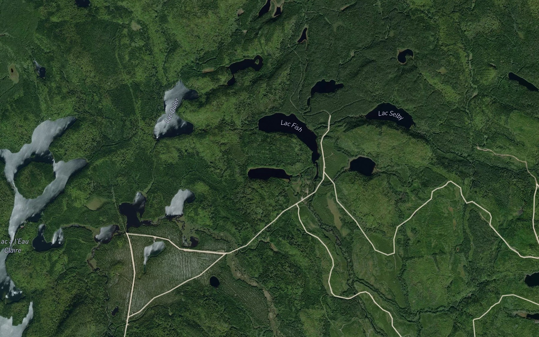 Satellite map of the Lac Sauve