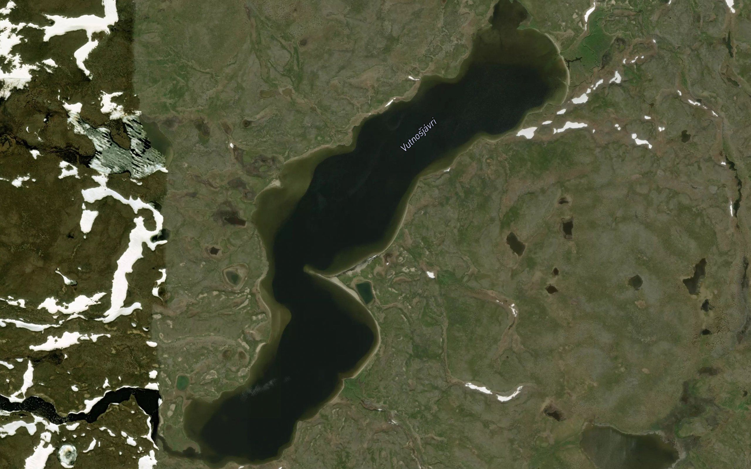 Vutnosjavri