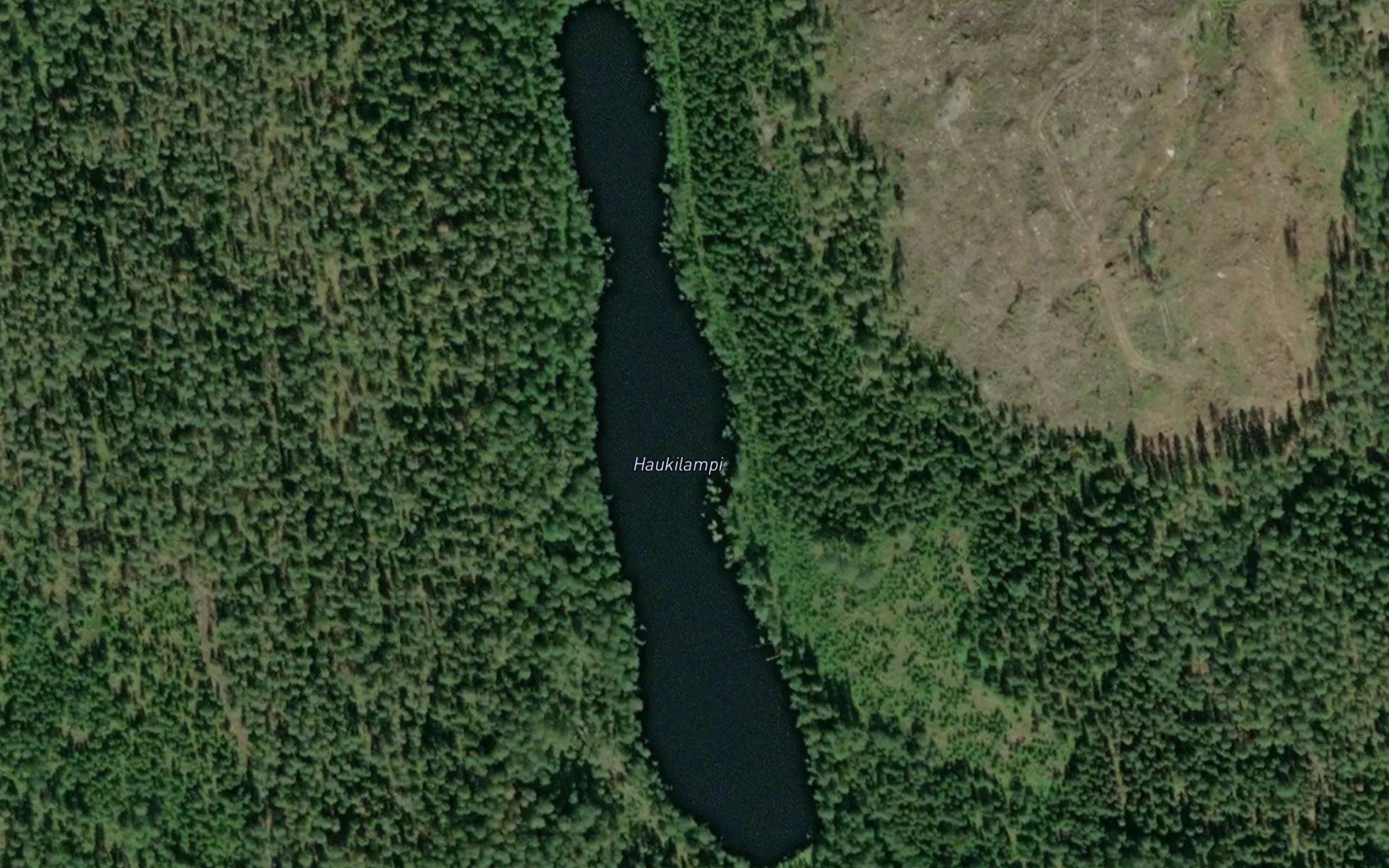 Haukilampi