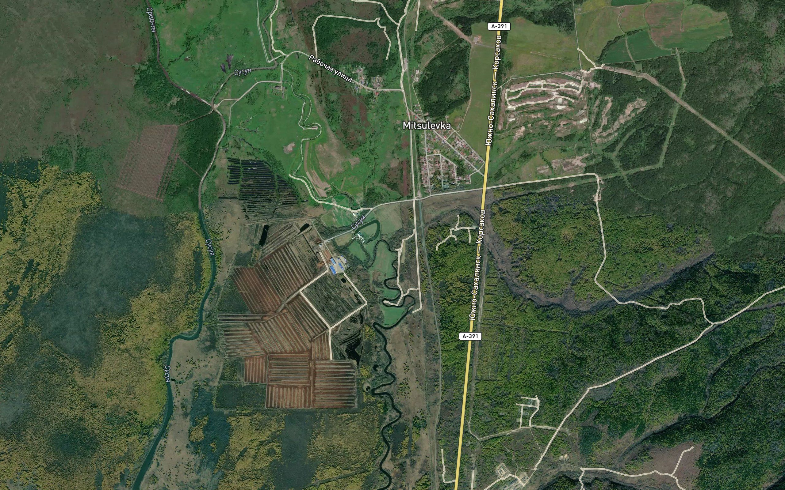 Osinovka