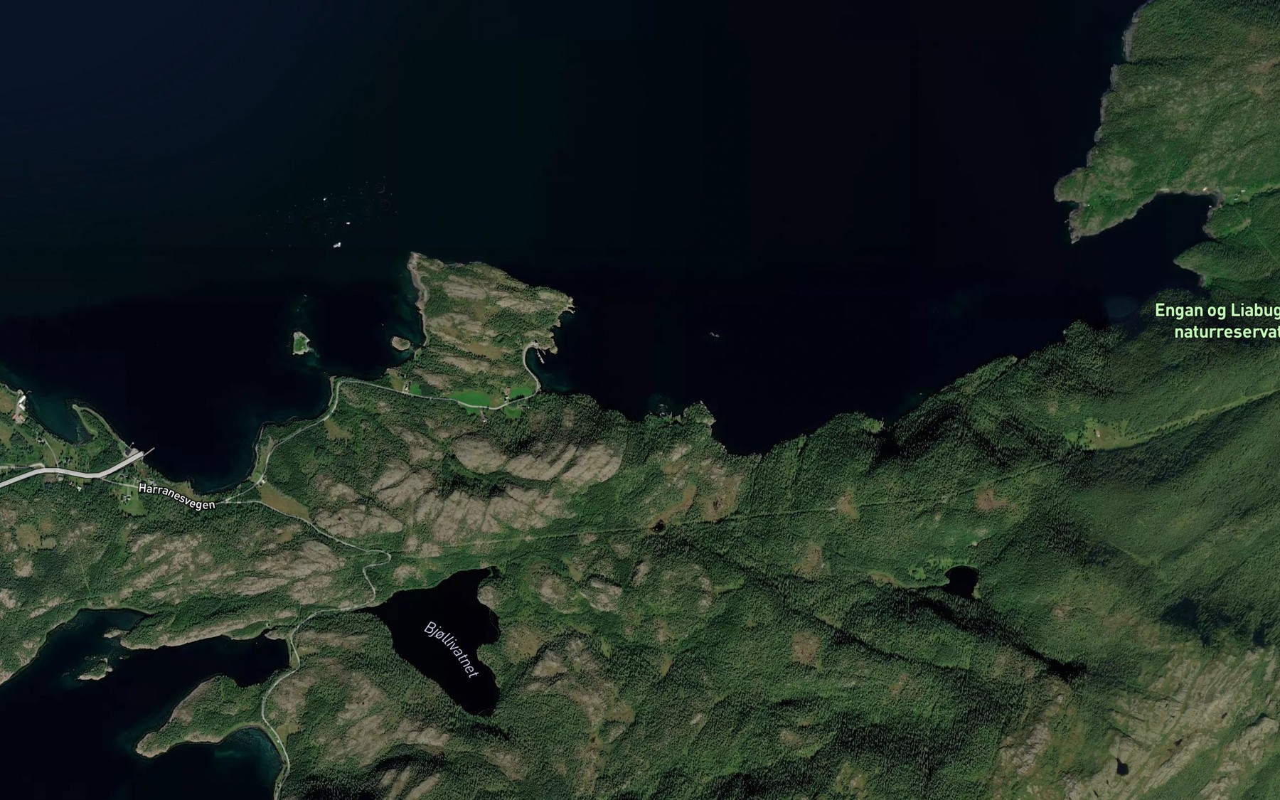 Satellite map of the Flaugvika