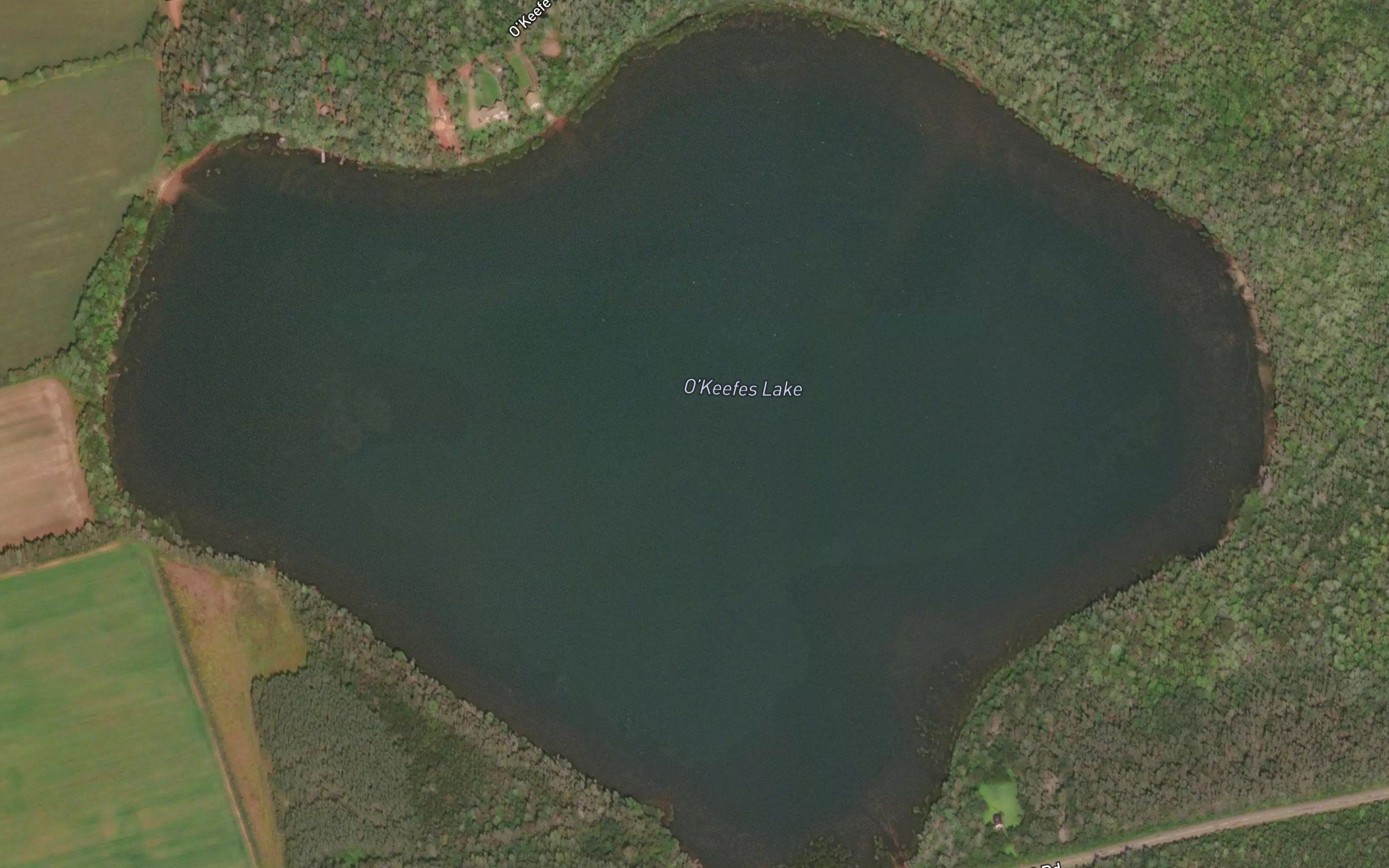 O'Keefes Lake