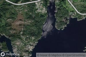 Stokkevika