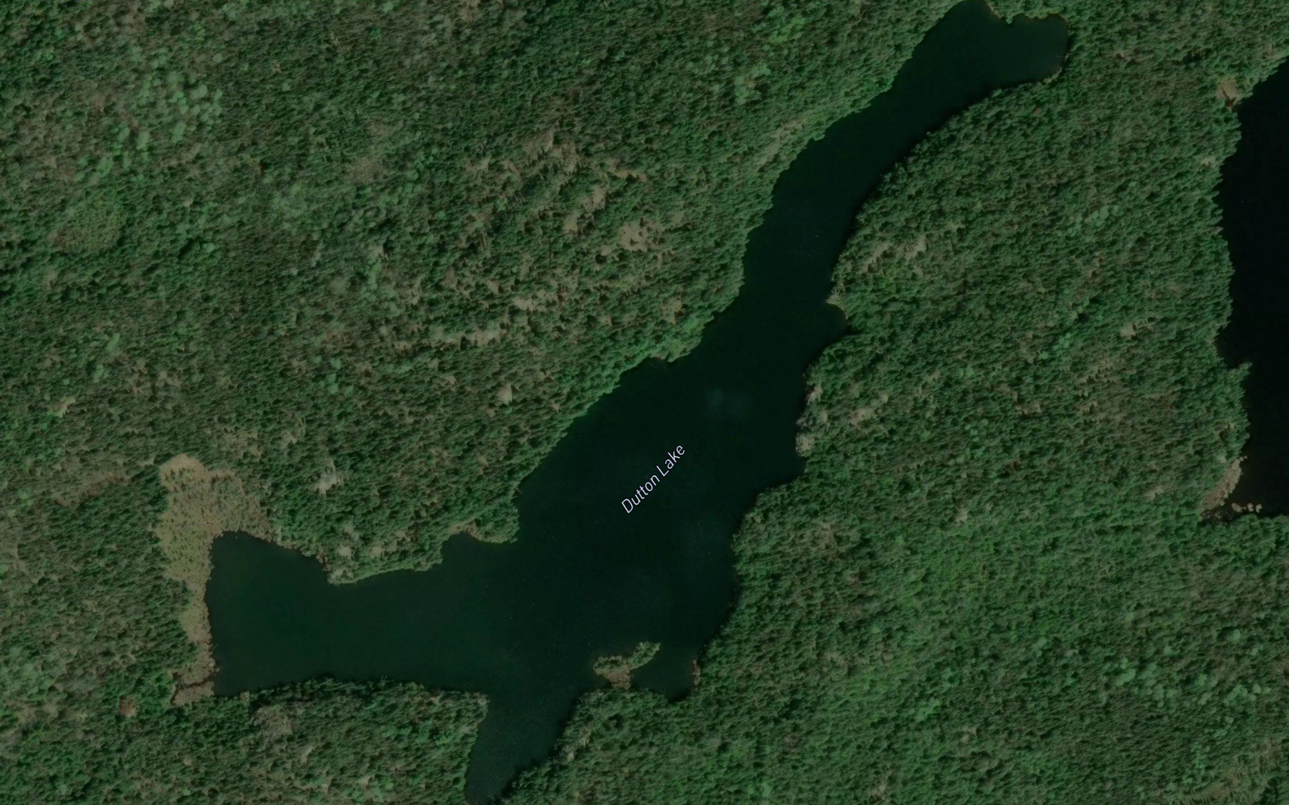 Dutton Lake