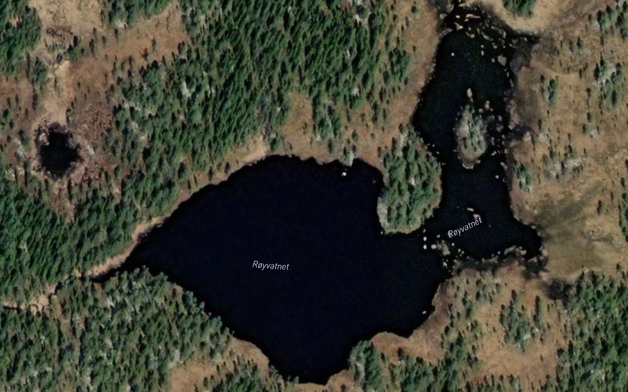 Royvatnet