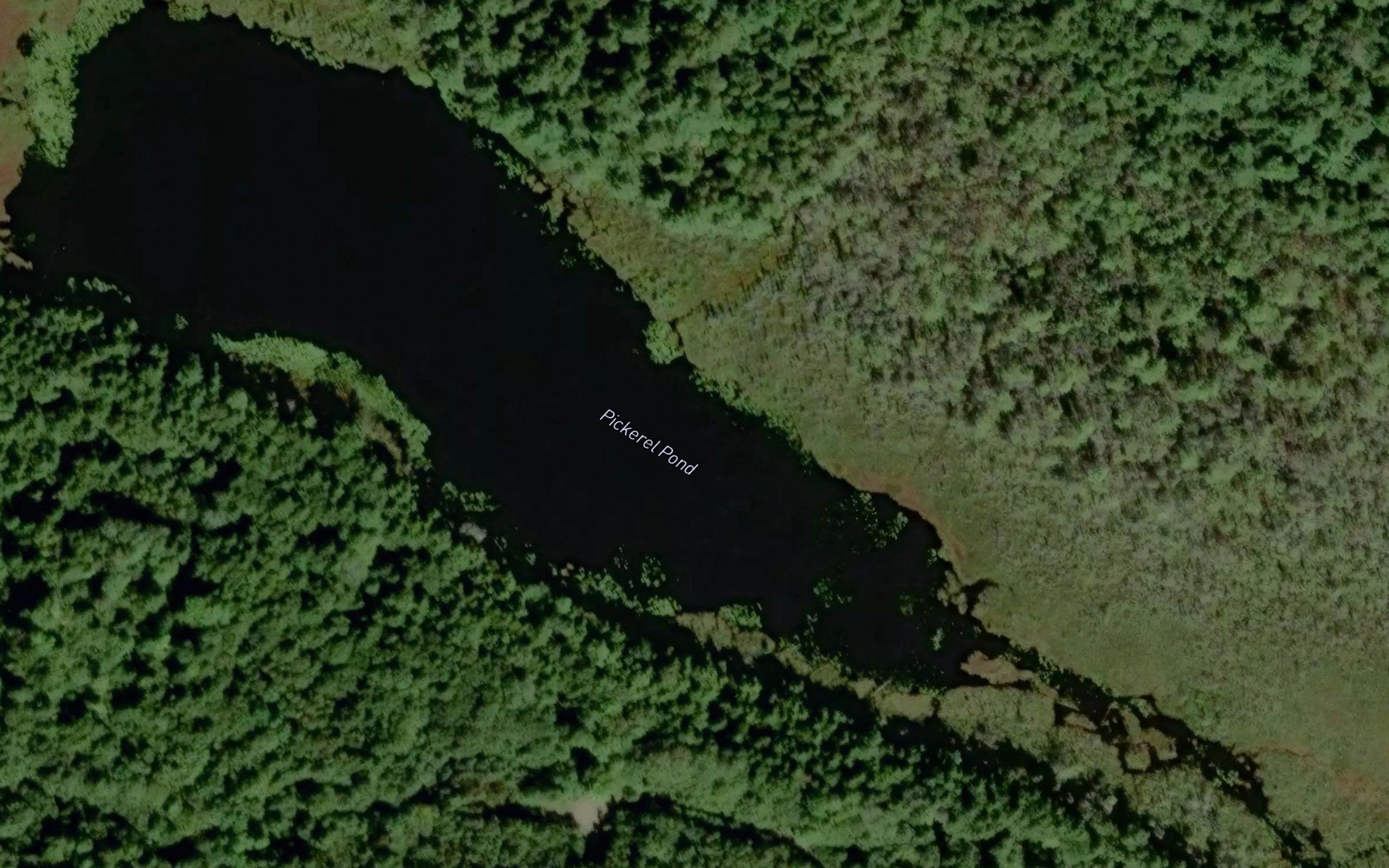 Pickerel Pond