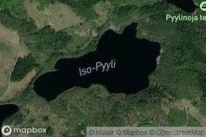 Iso-Pyyli