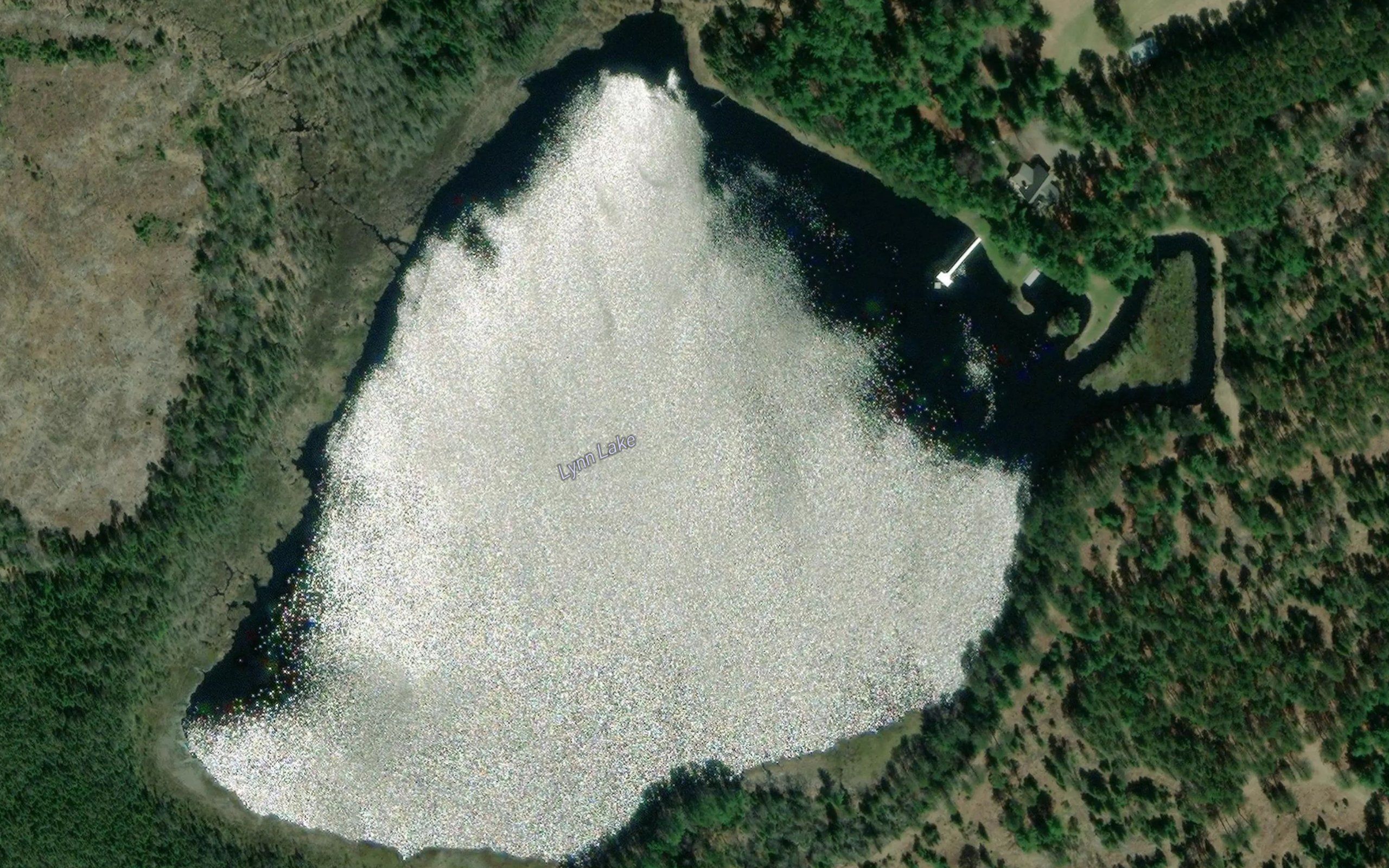 Lynn Lake