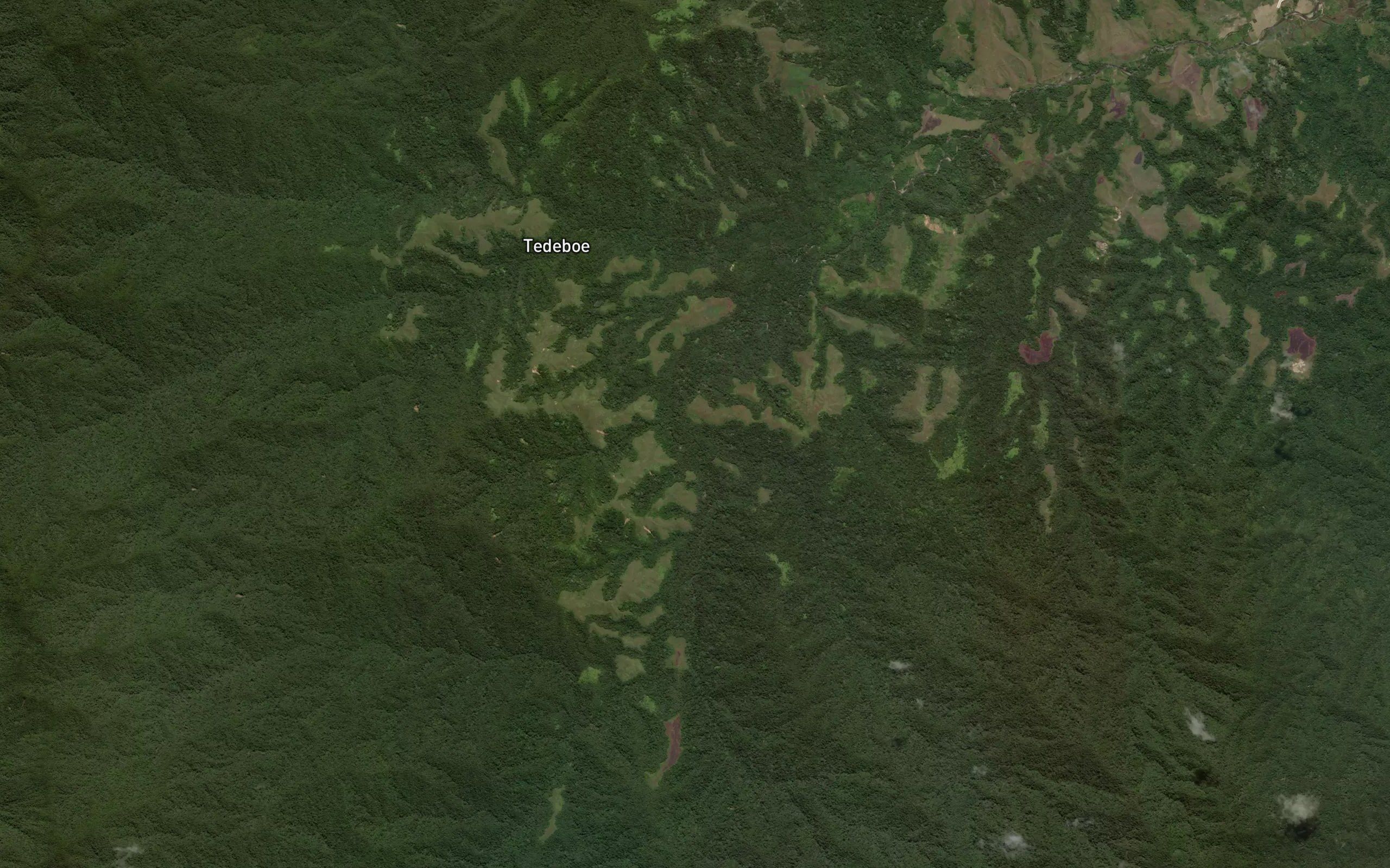 Halu Kowera