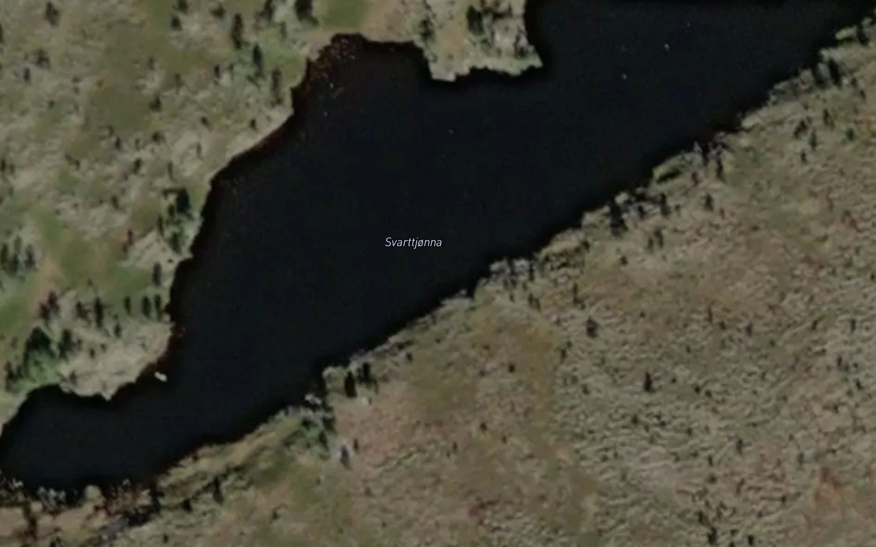 Satellite map of the Svart-tjonna