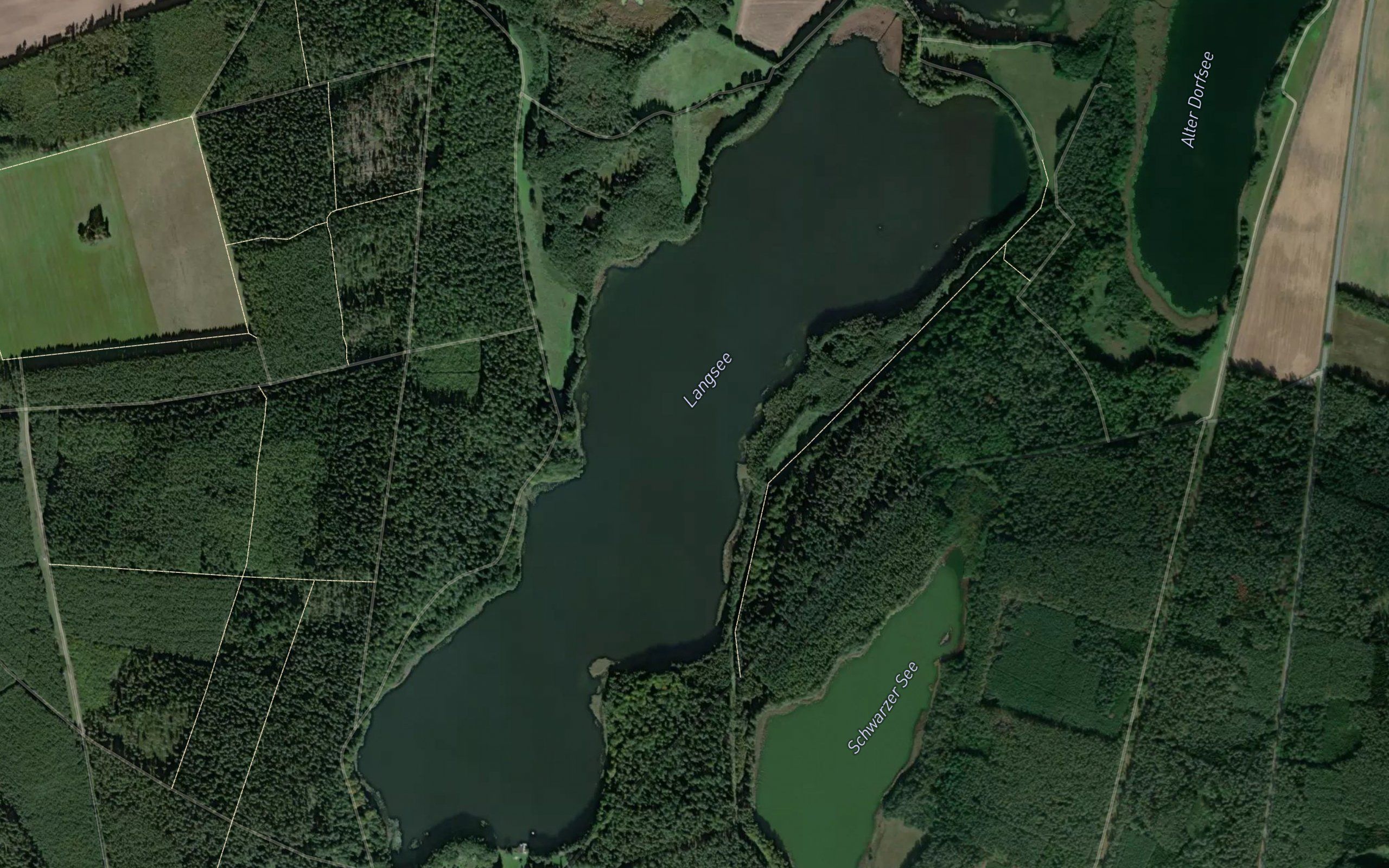 Langsee