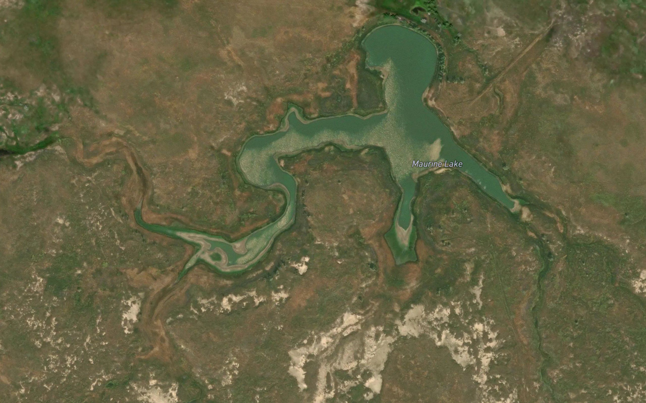 Maurine Lake