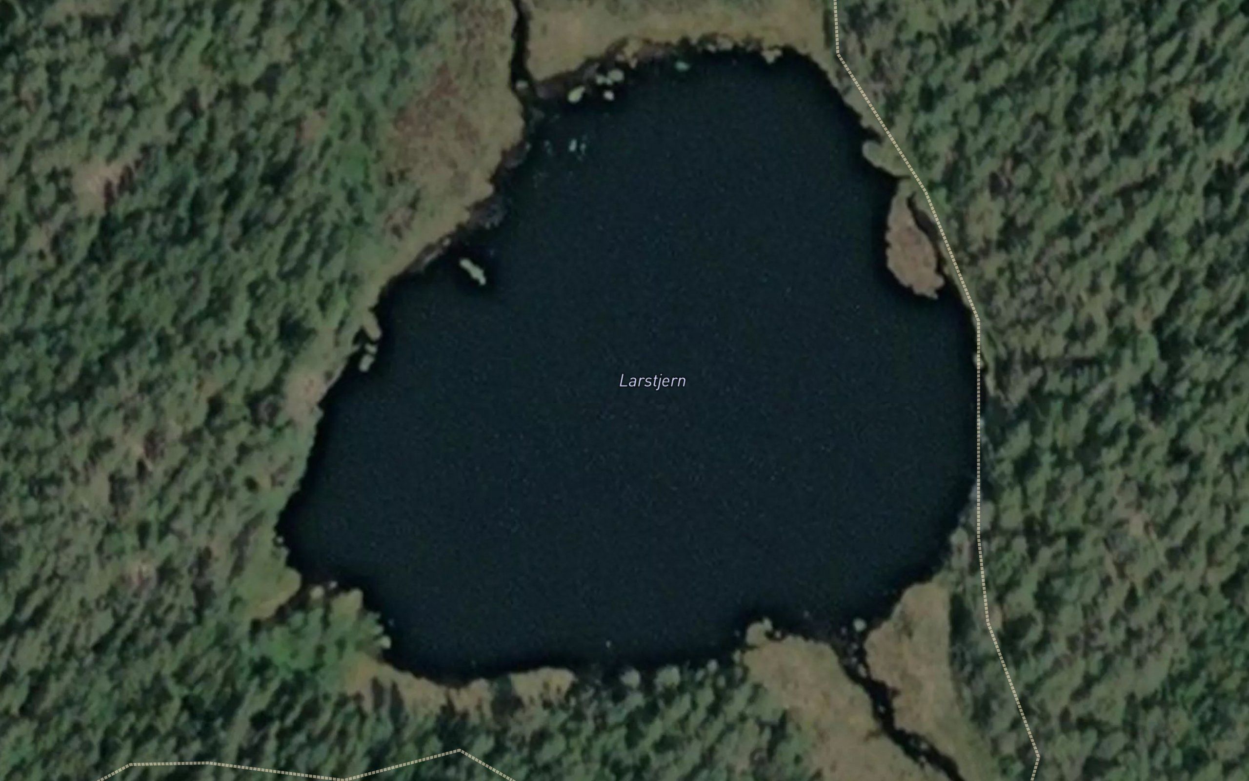 Larstjern