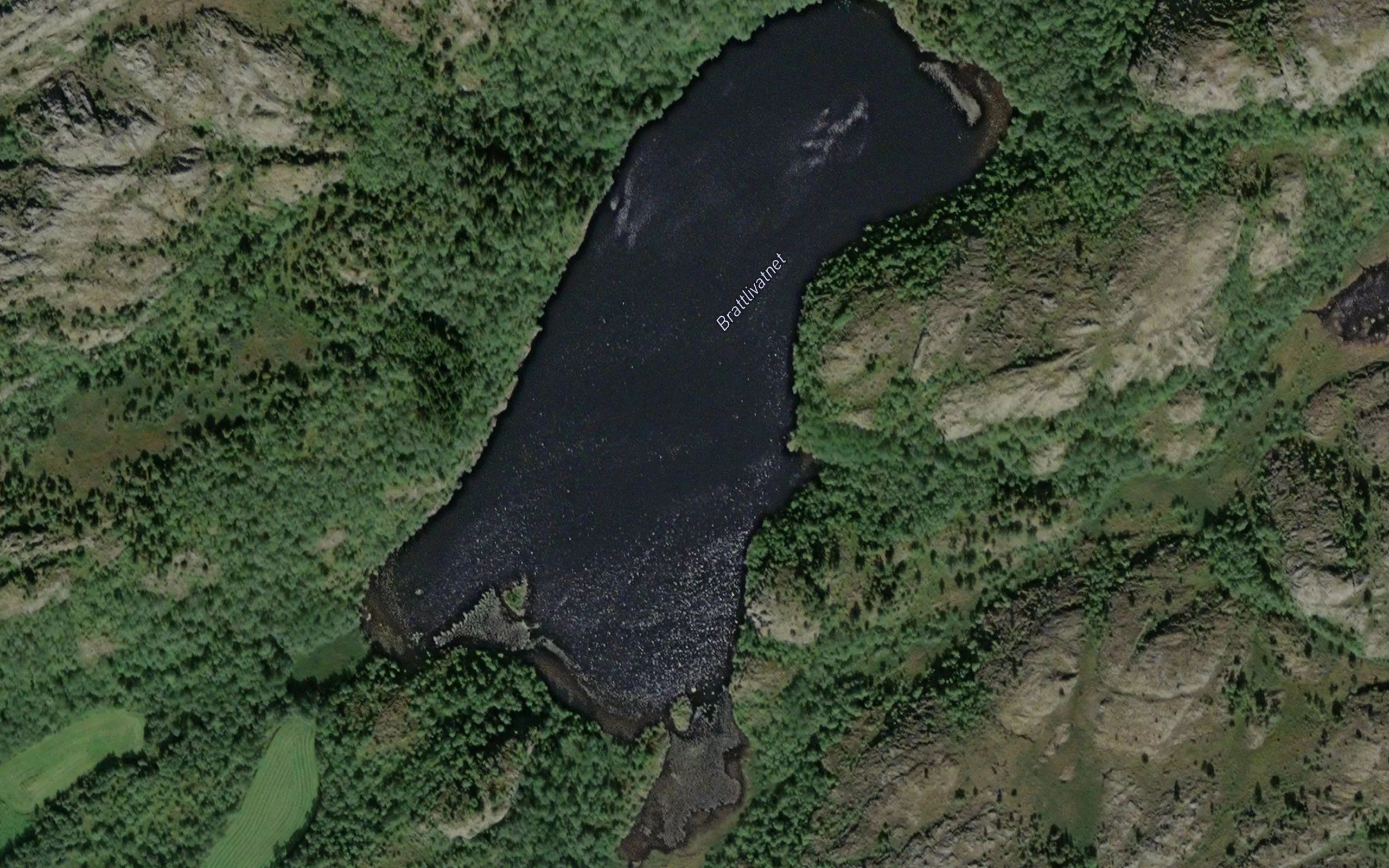 Brattlivatnet