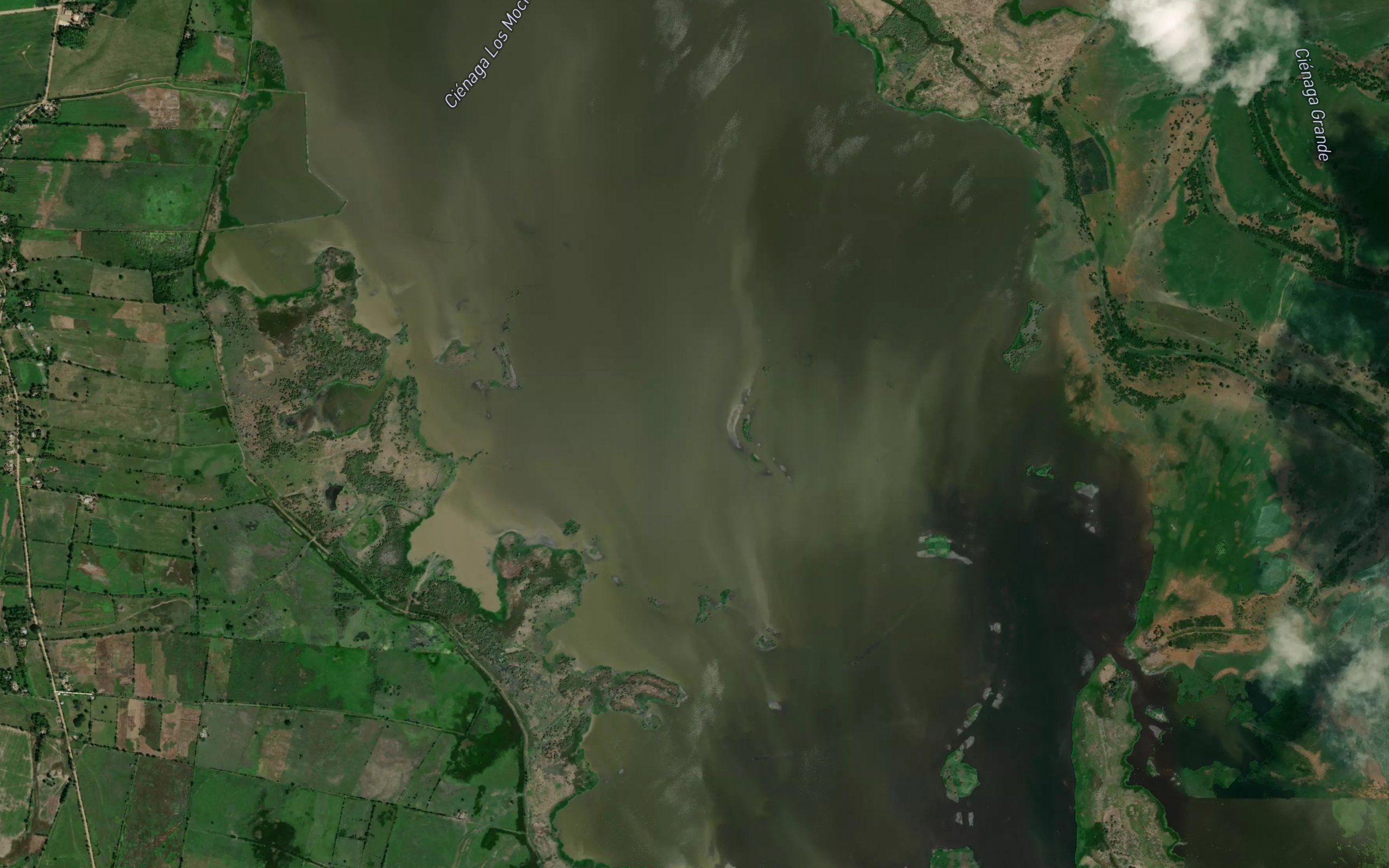 Cienaga Castanuela