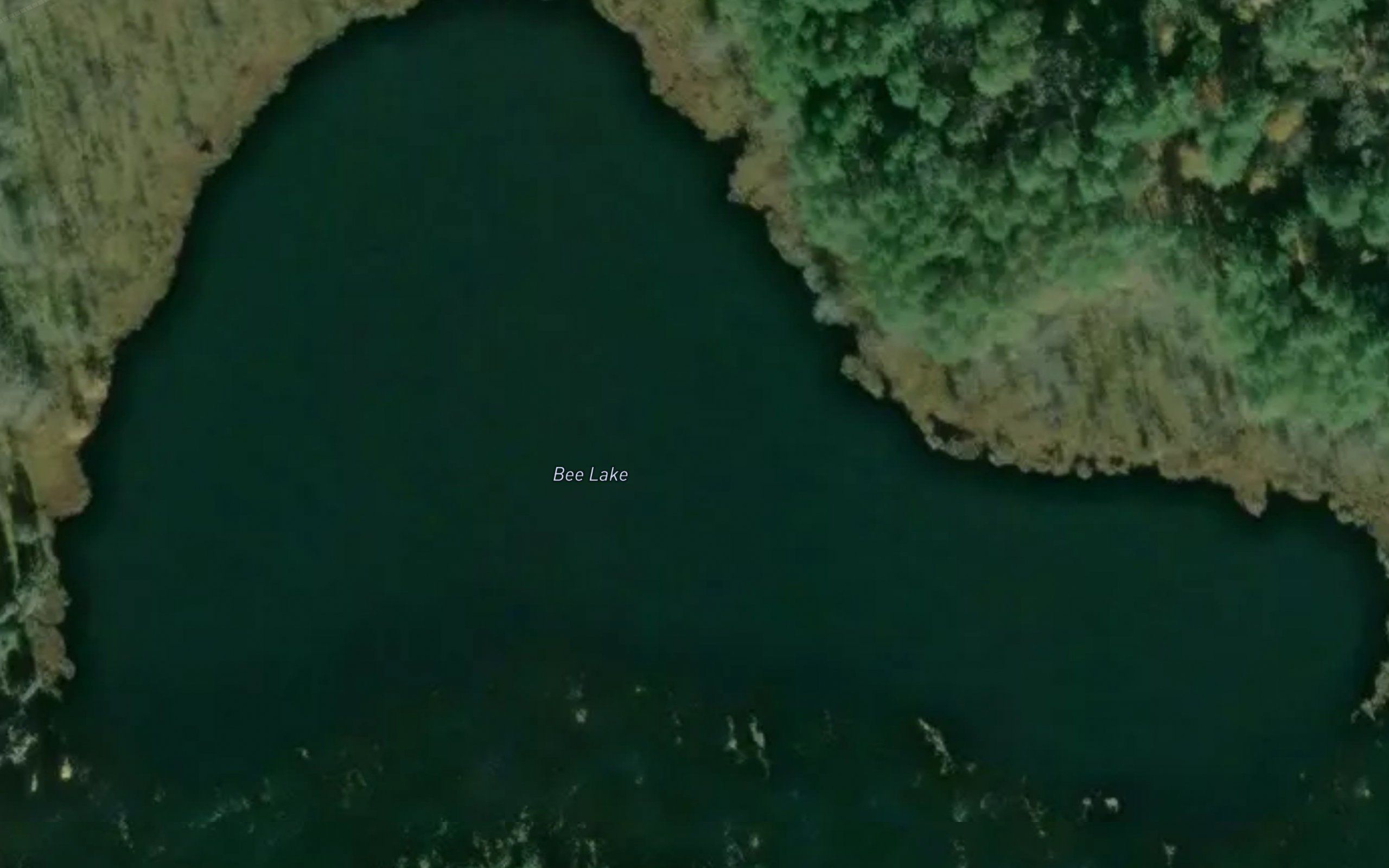 Bee Lake