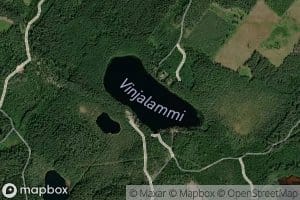 Vinjalammi