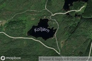 Koltjorn